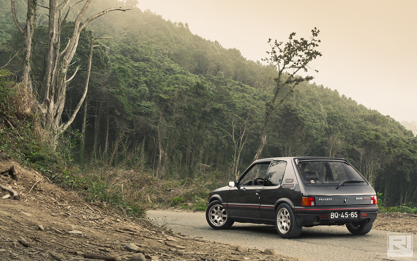 Peugeot 205 GTI'Enfant Terrible