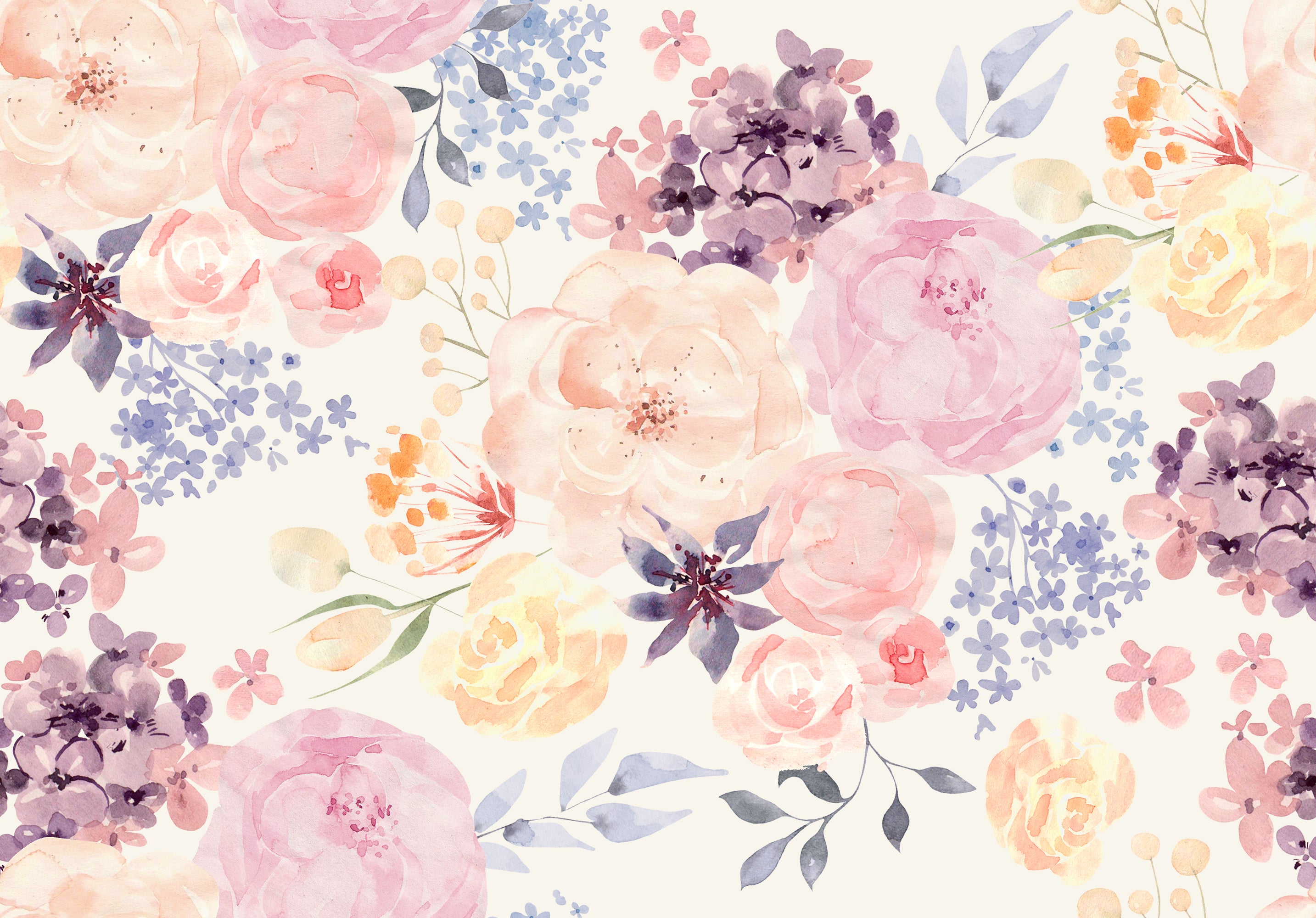 Colourful Flowers Wallpaper