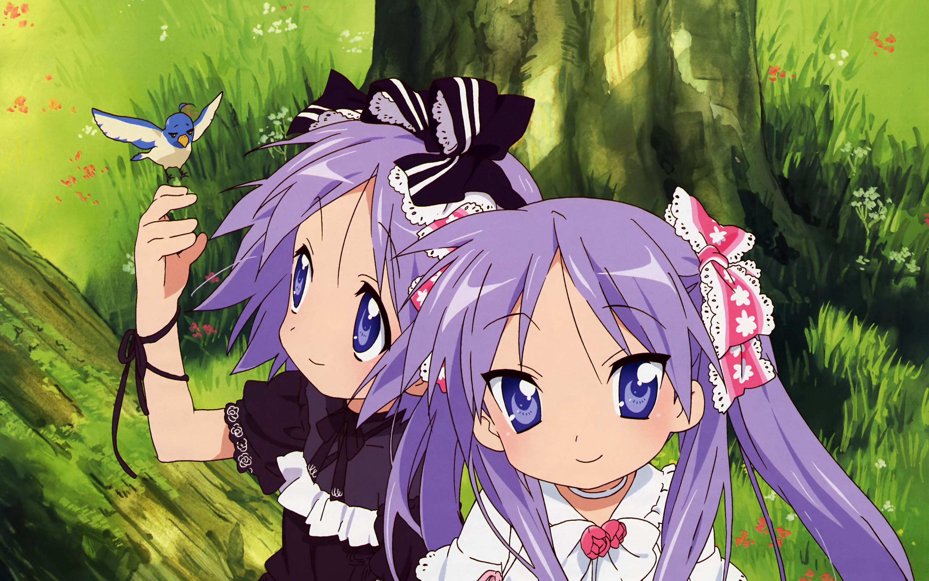 Wallpaper forest, anime, TSUKASA
