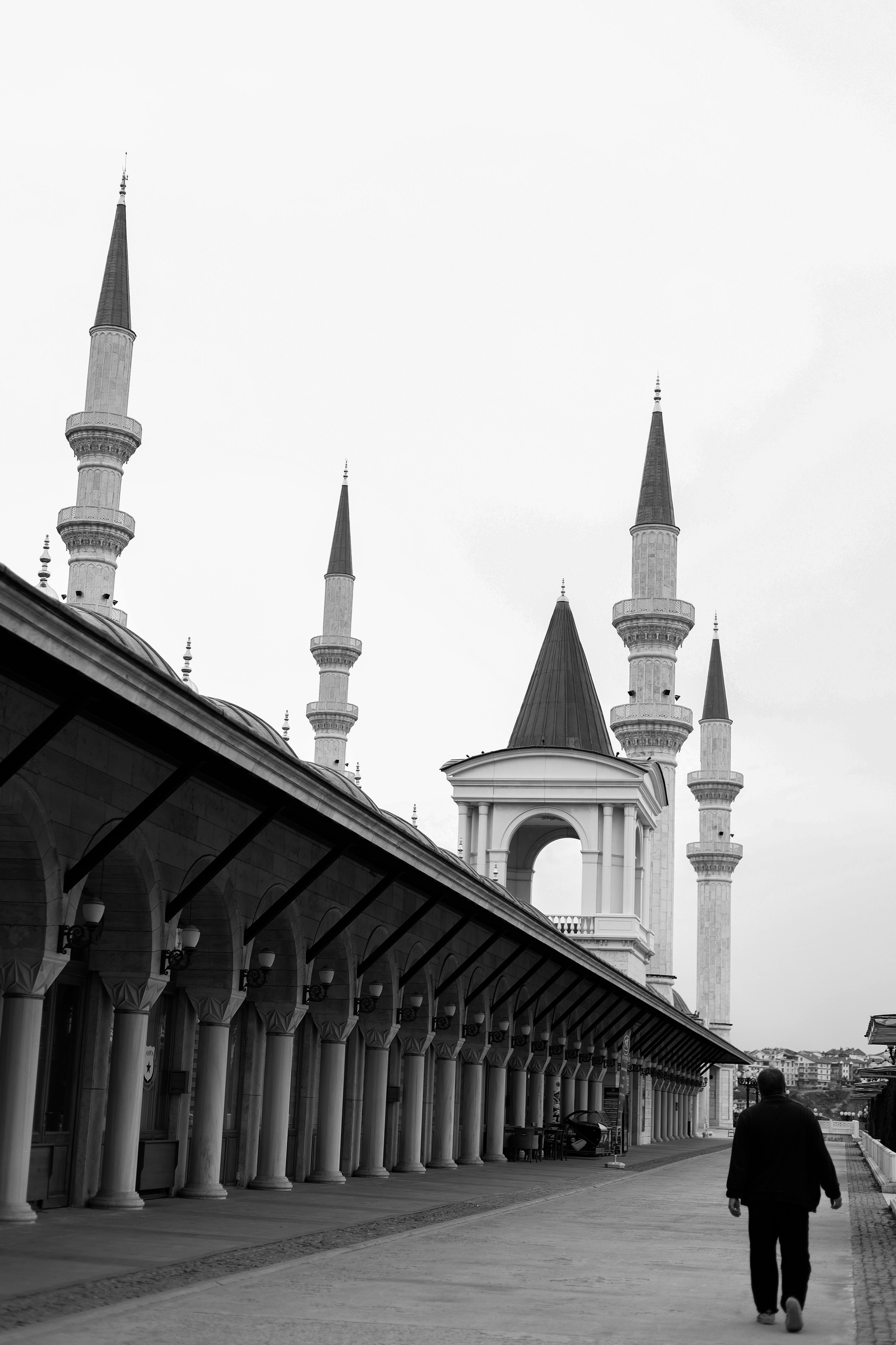 Minarets of Mosque in Black and White