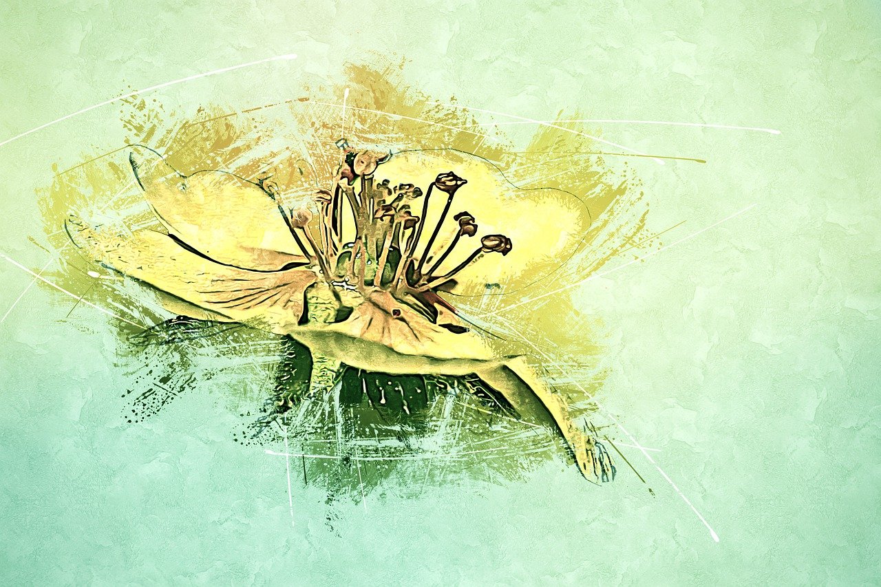 Bulbous Buttercup & Buttercup Image