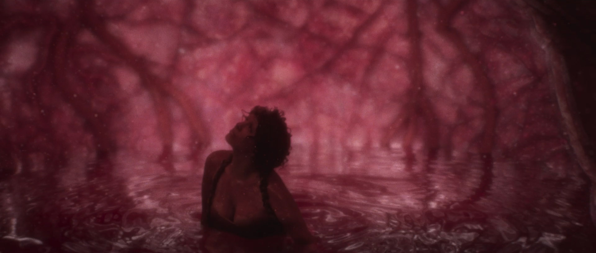 Melanie Martinez. Music Video