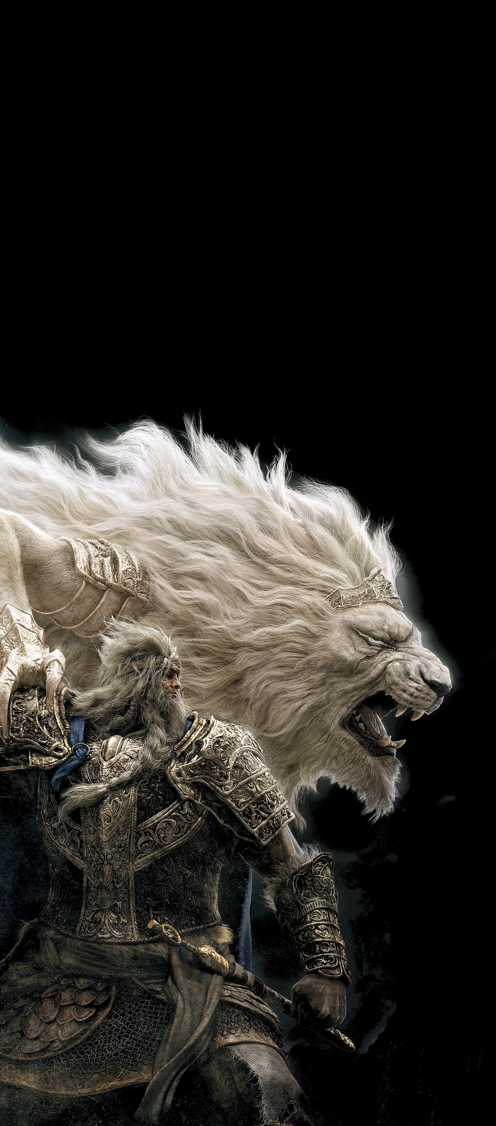 Elden Ring. Godfrey [1728x3920], r