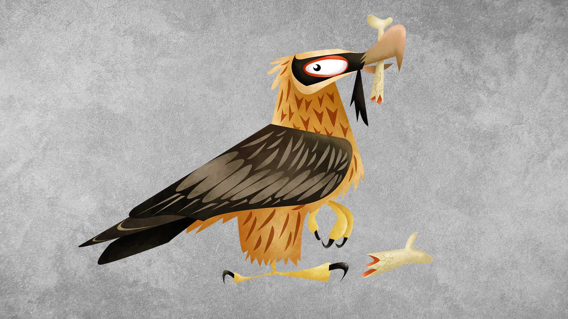 All about Bearded vulture. Roundglass