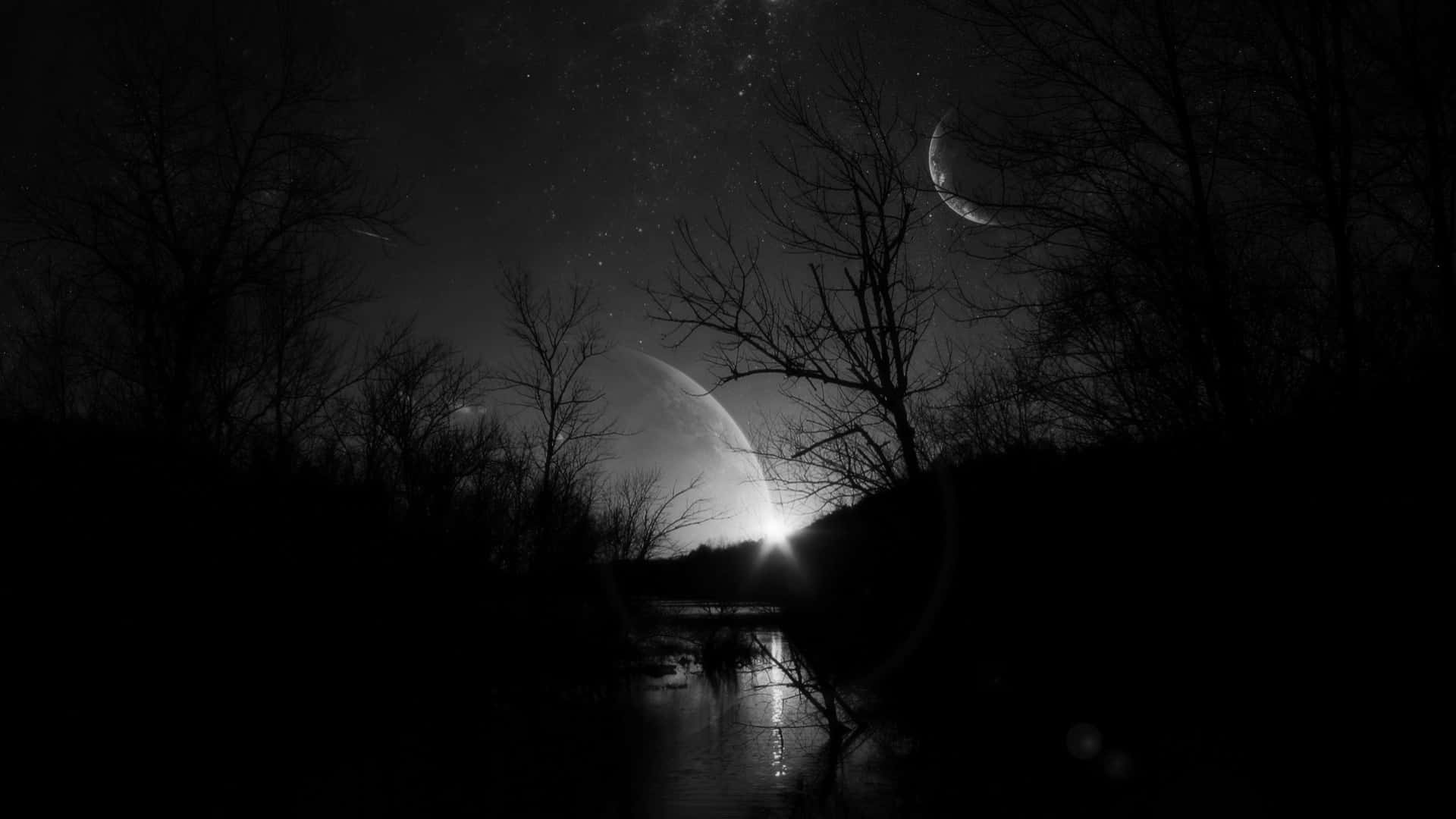 Download 1920x1080 Black Forest River