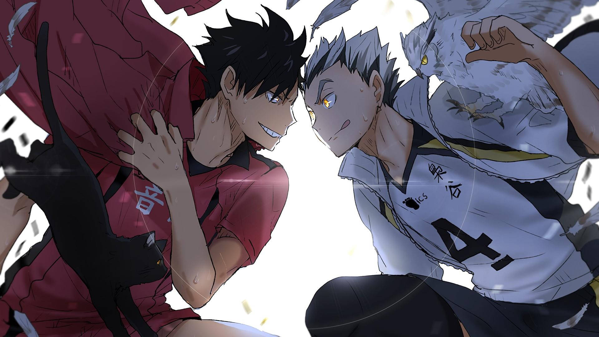 Kuroo & Bokuto Playing Together