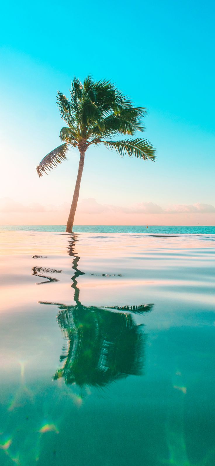 Beach wallpaper