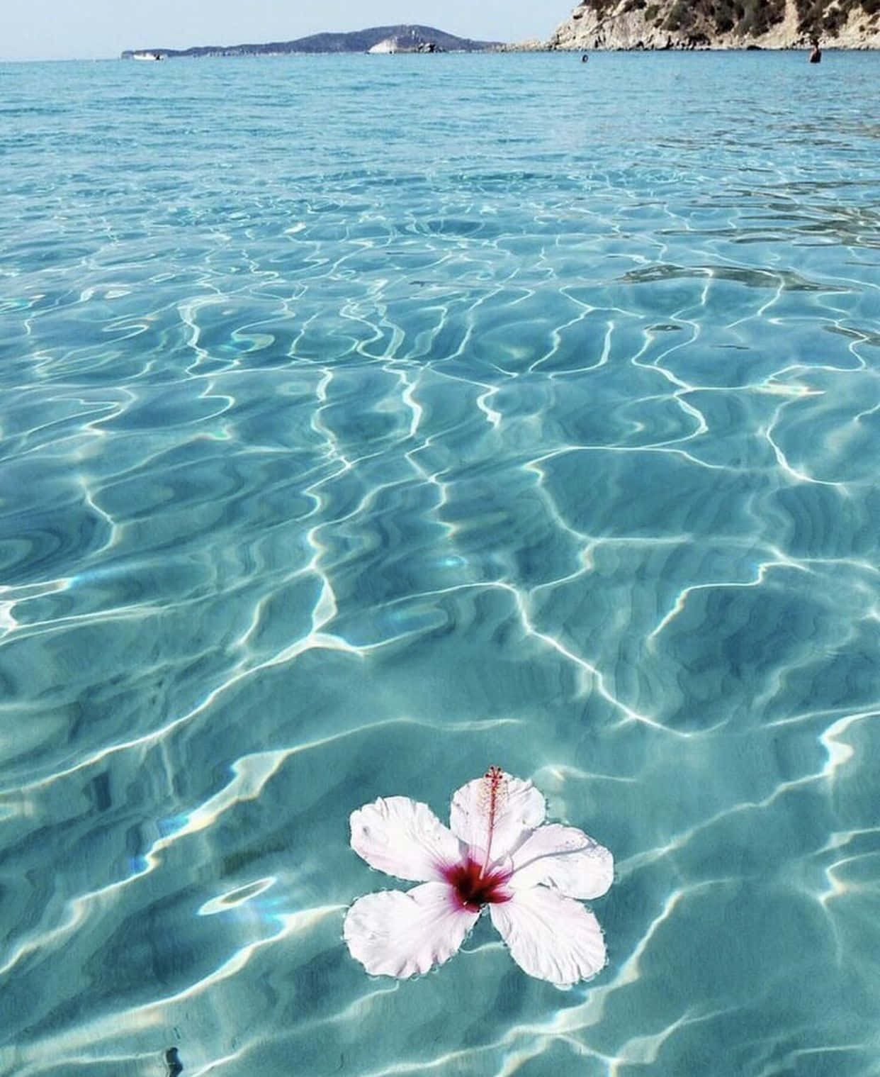 Tropical Aesthetic Beach Wallpaper
