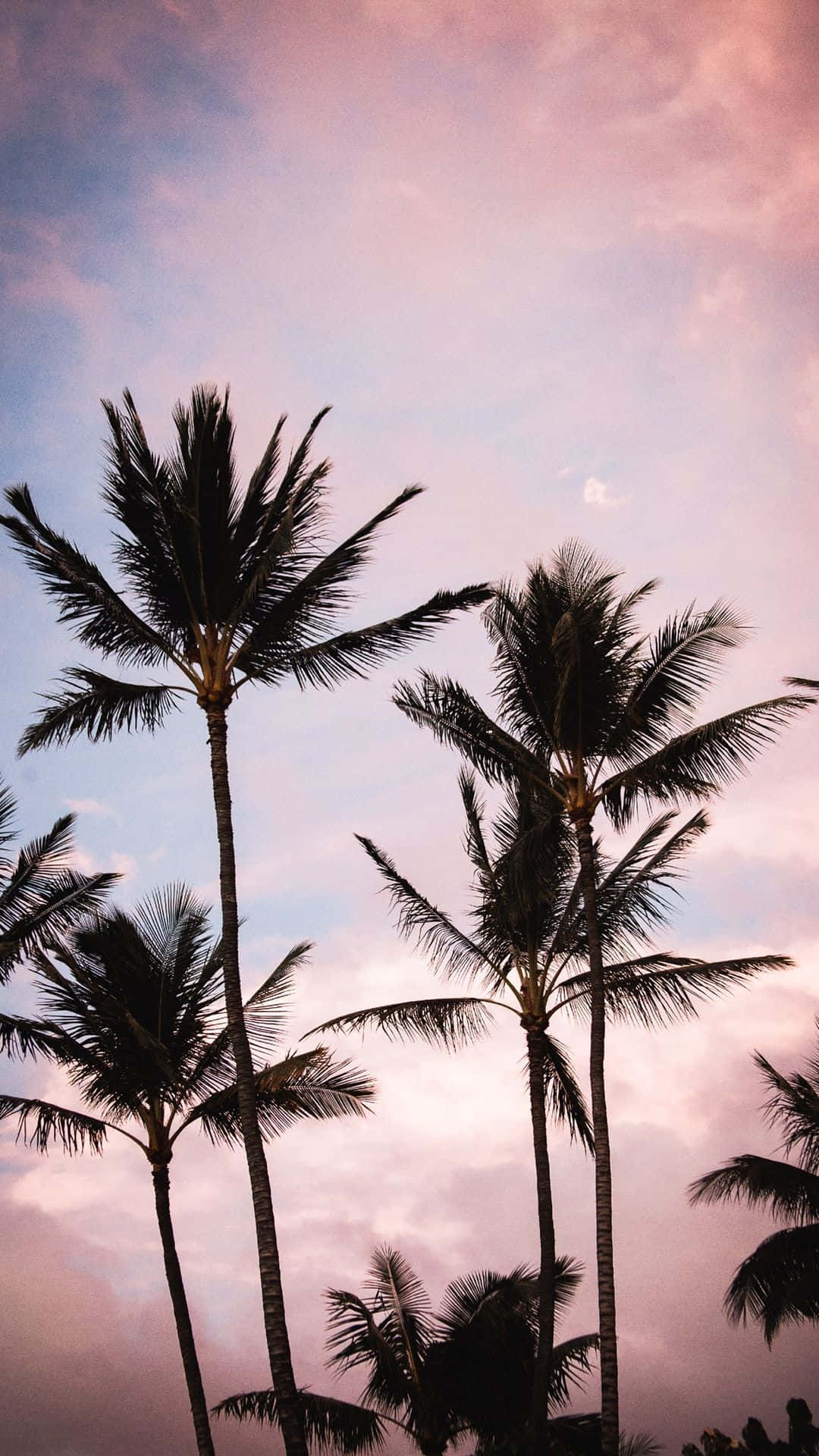 Tropical Island Paradise Wallpaper