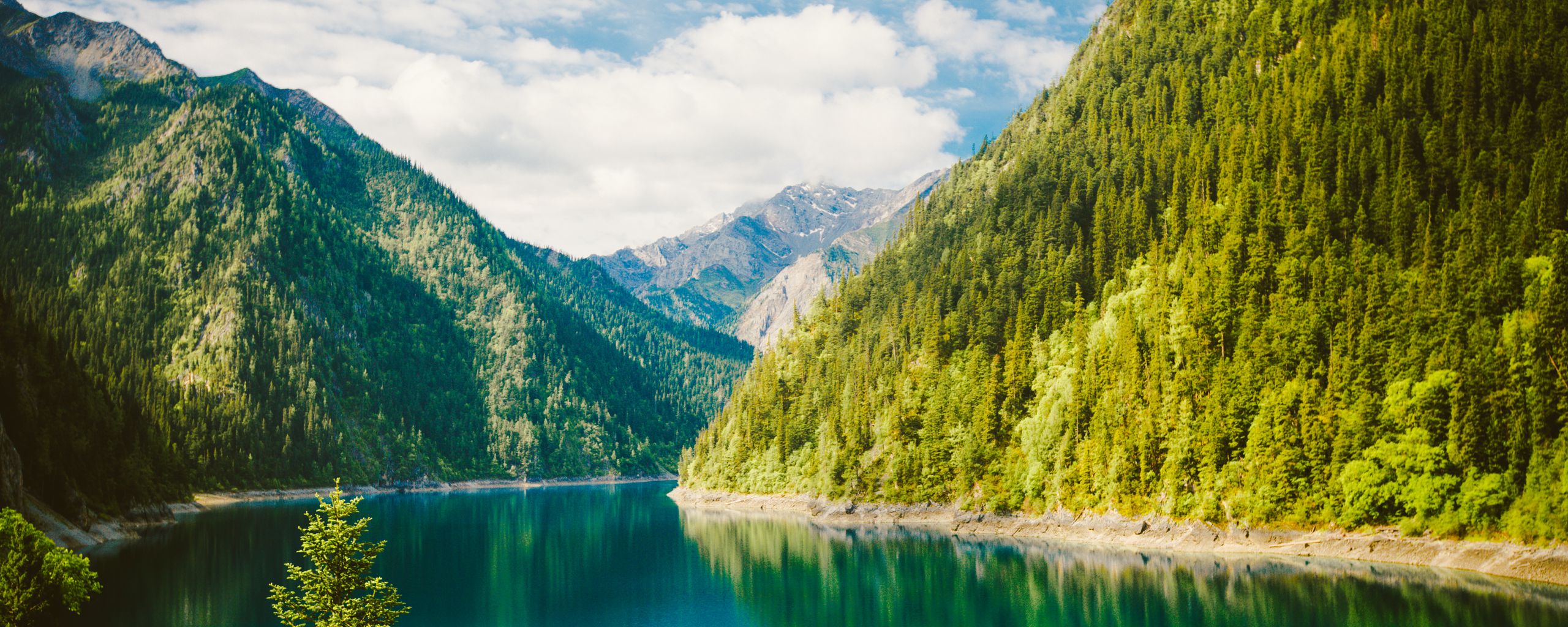 Download wallpaper 2560x1024 nature