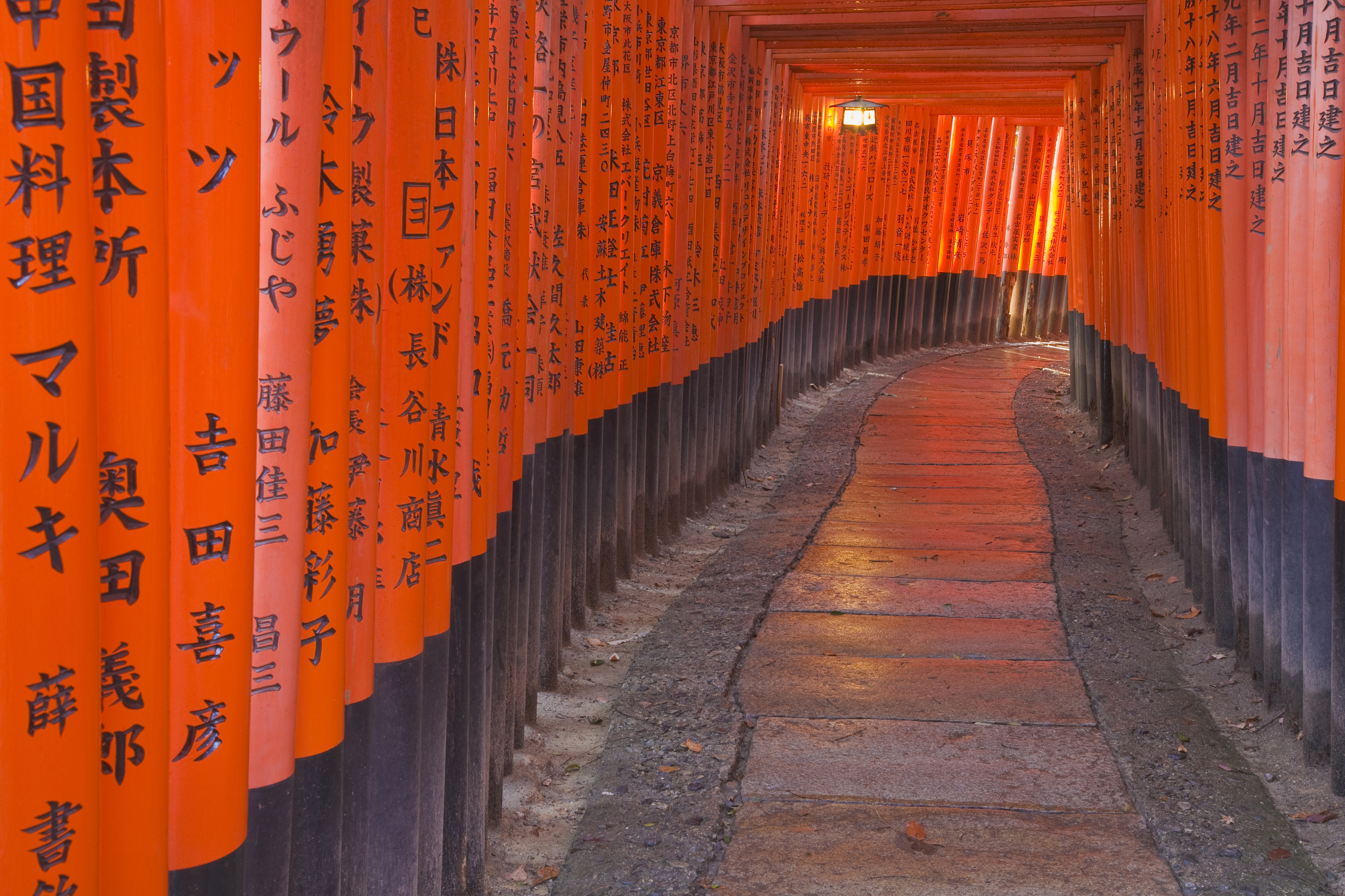 Torii Walkway, Japan Mural