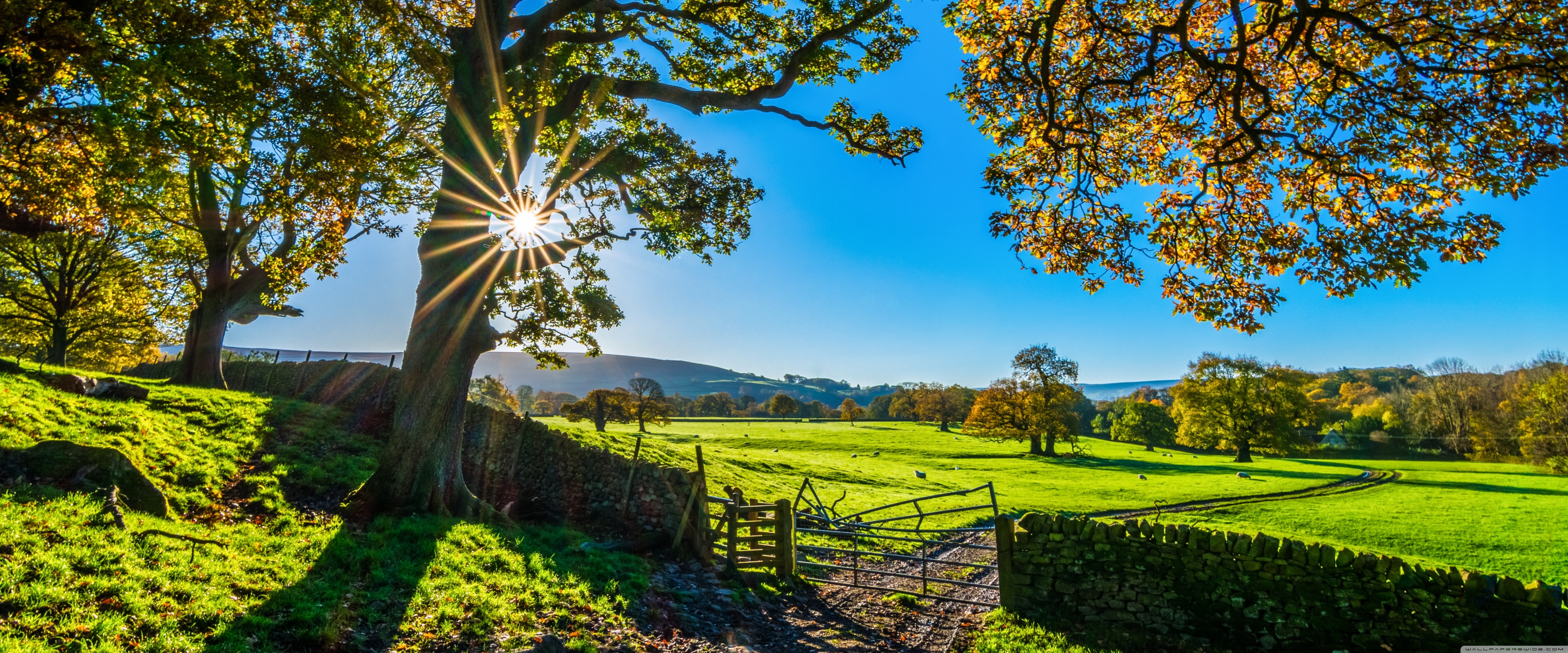 Beautiful England Nature Countryside