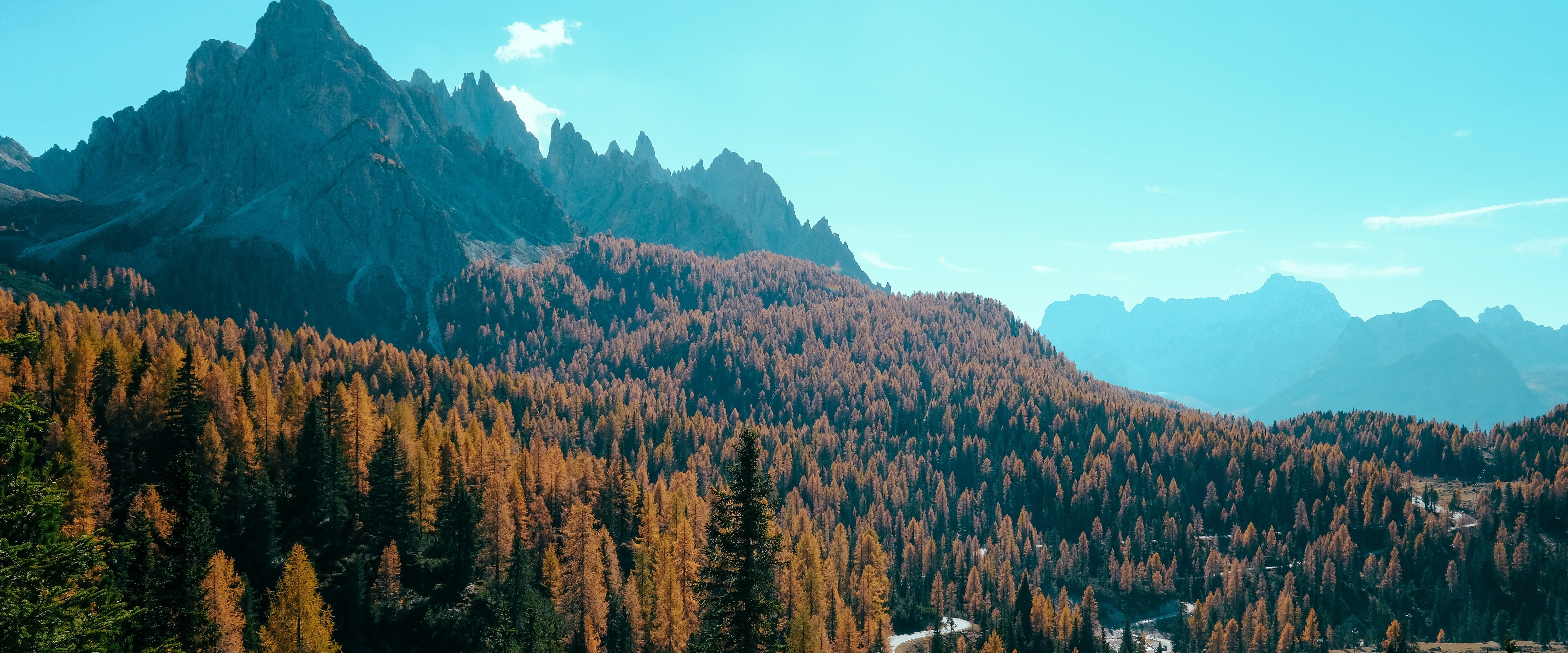 Forest Autumn Mountain Forest 8K