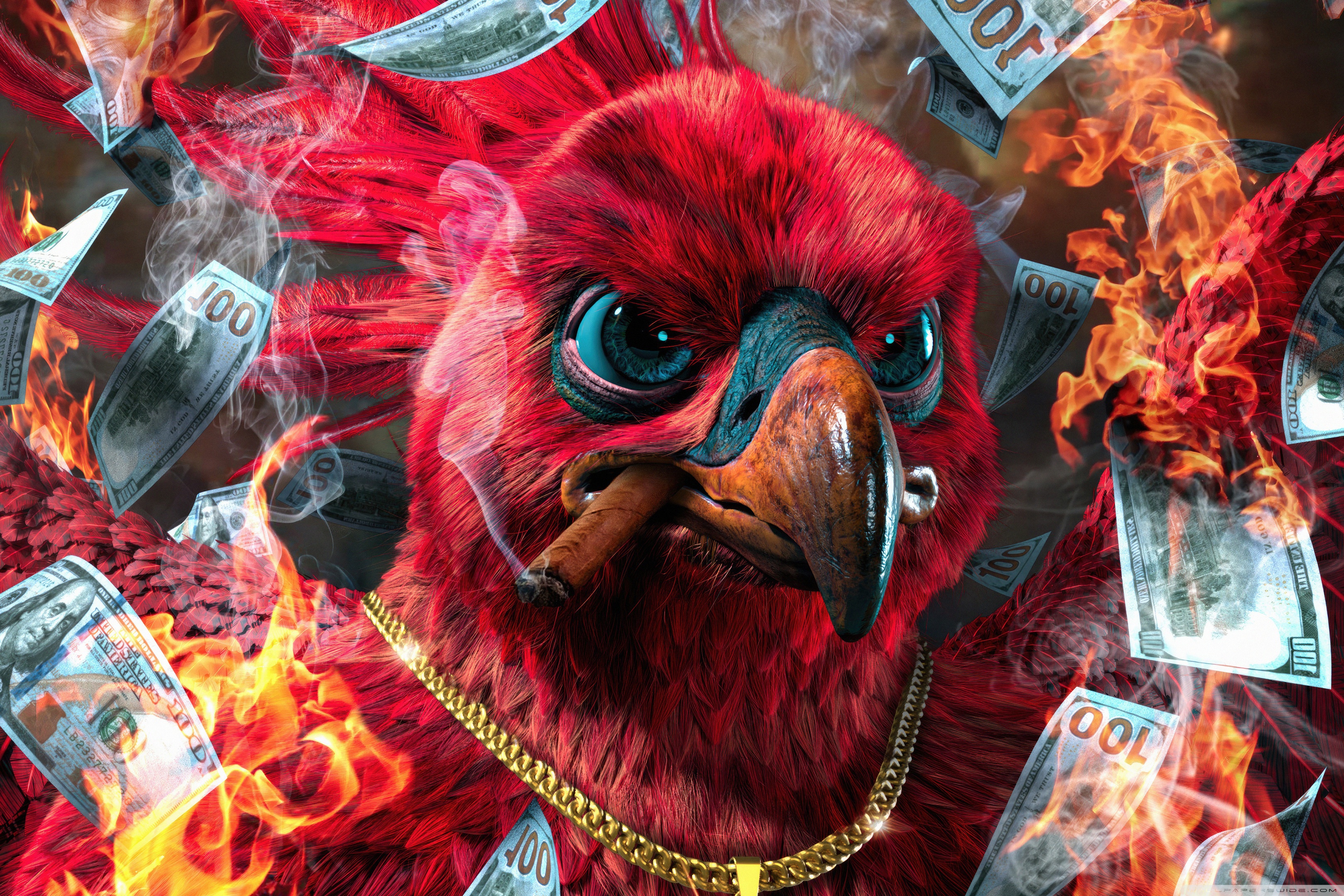 Funny Chicken 4K UHD Wallpaper