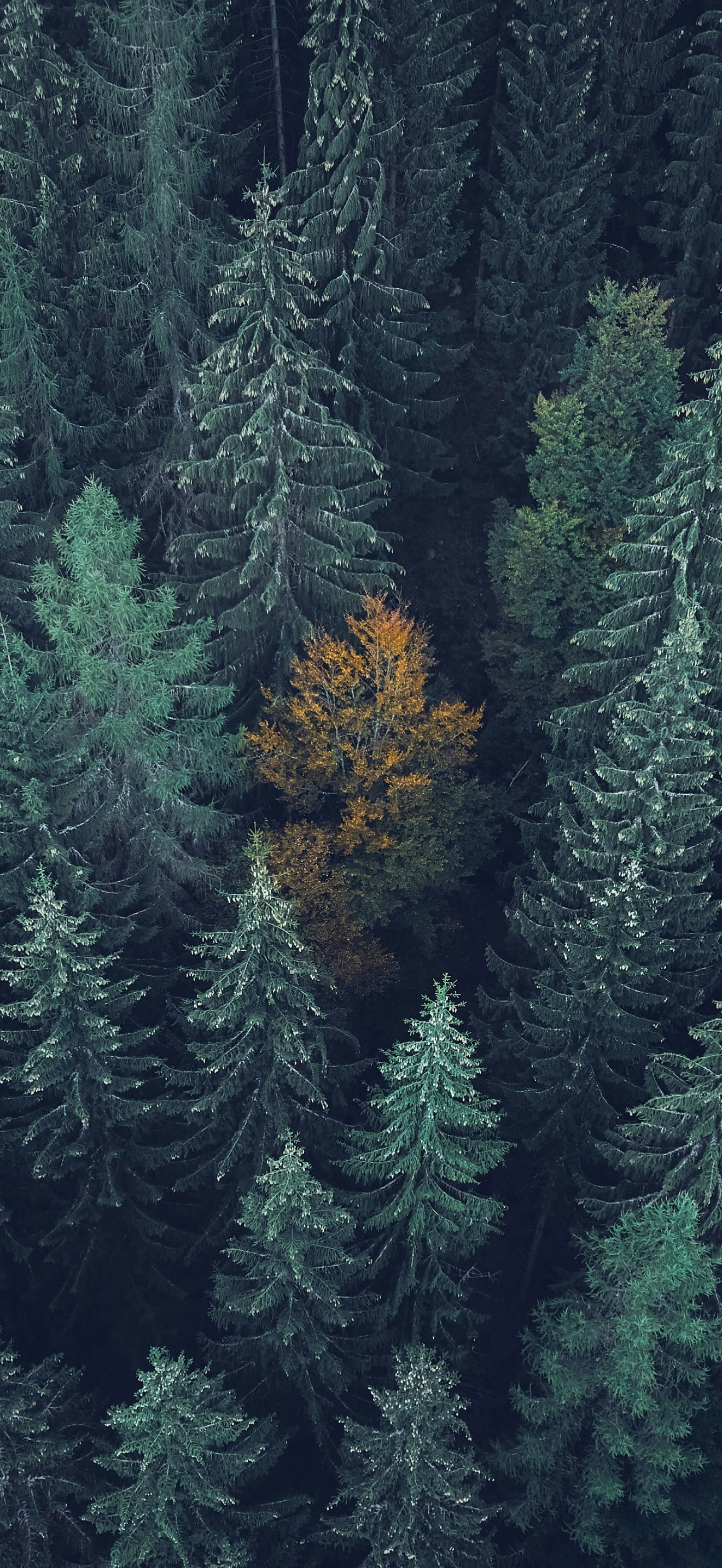 for iPhone 16 Pro Max