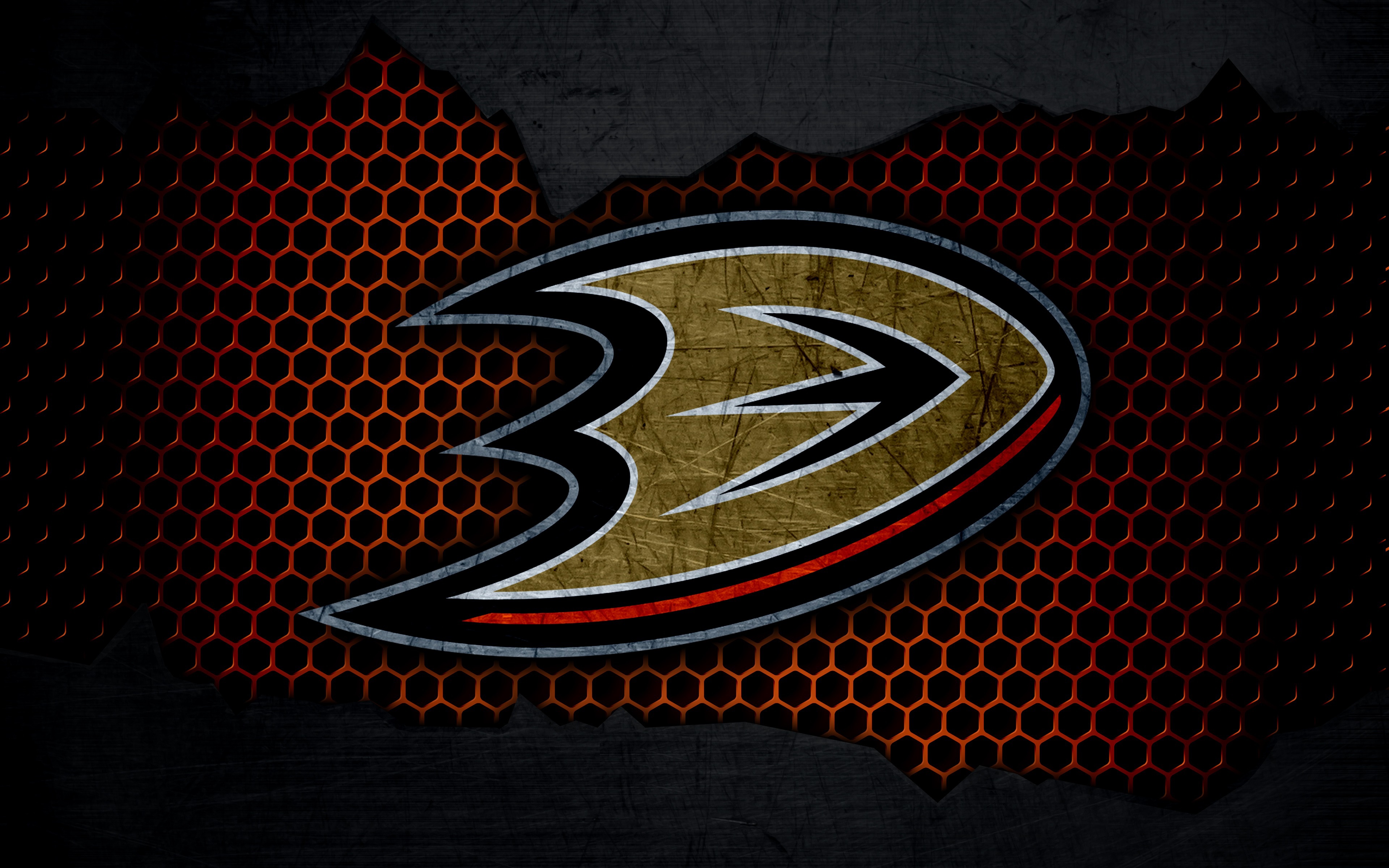 Wallpaper wallpaper, sport, logo, NHL