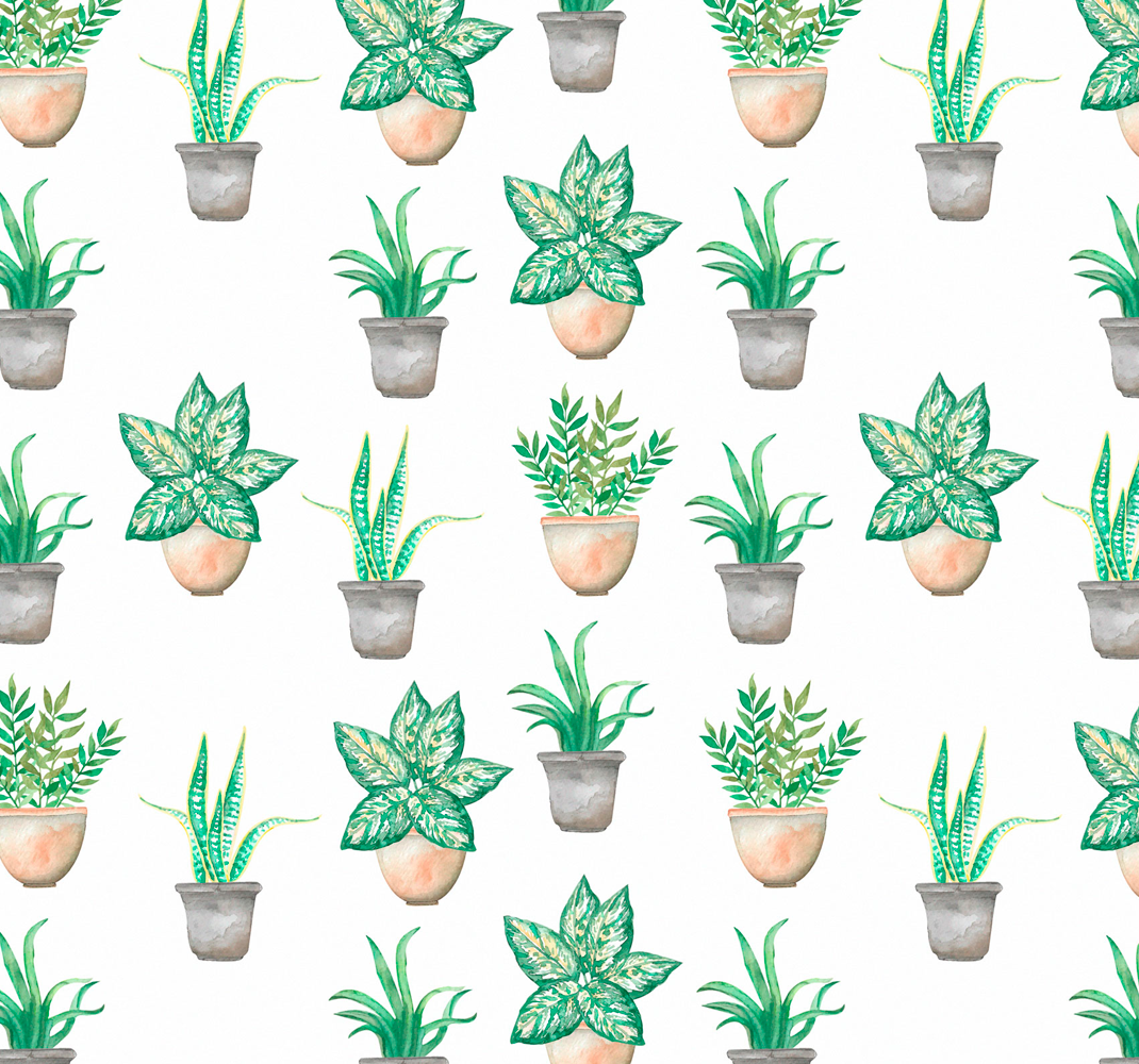 Plant pots pattern kitchen wallpaper
