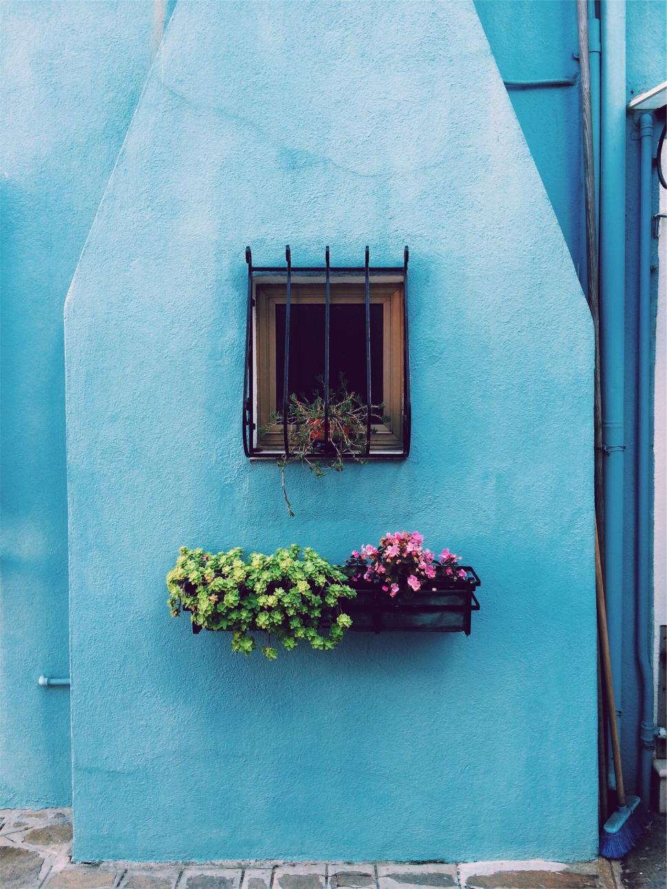 Blue wall with window and flower pot
