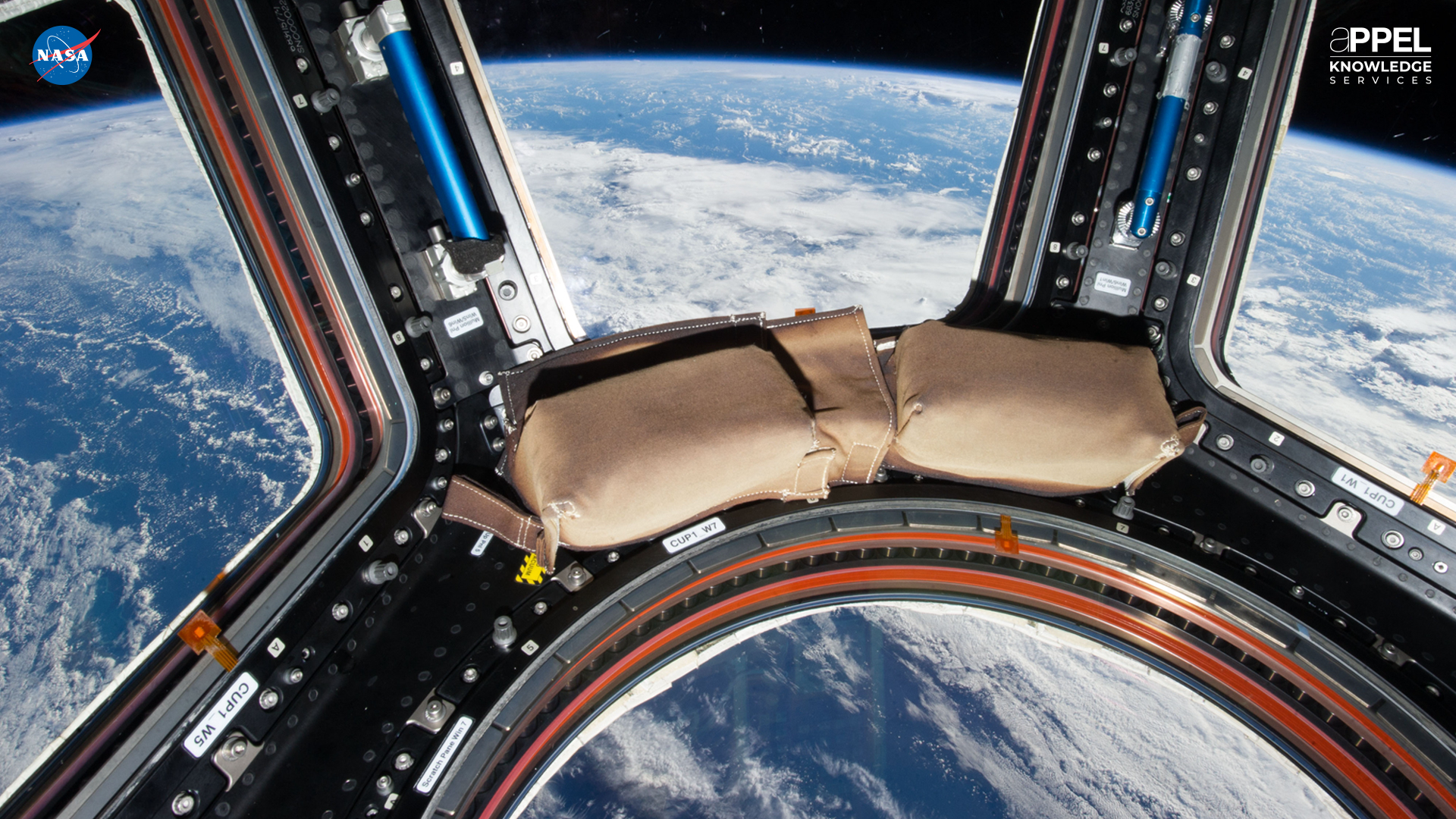 Virtual Background. APPEL Knowledge Services