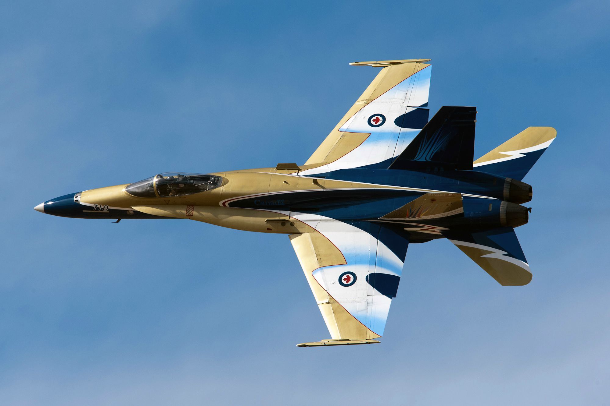 Wallpaper fighter, multipurpose, Hornet