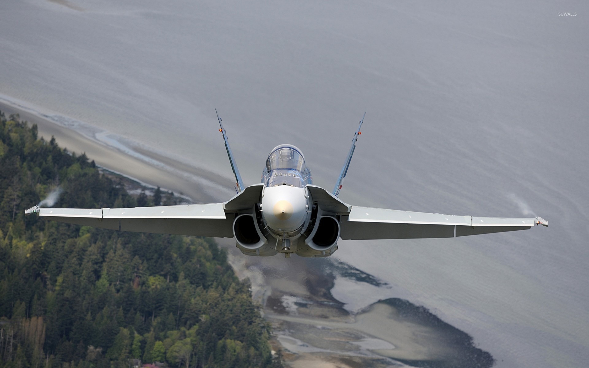 McDonnell Douglas CF 18 Hornet