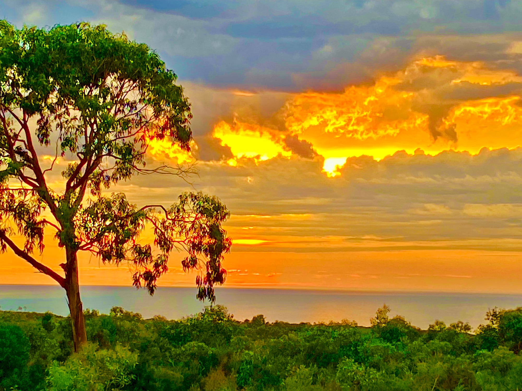 Australian Scenic Coastal Reserves