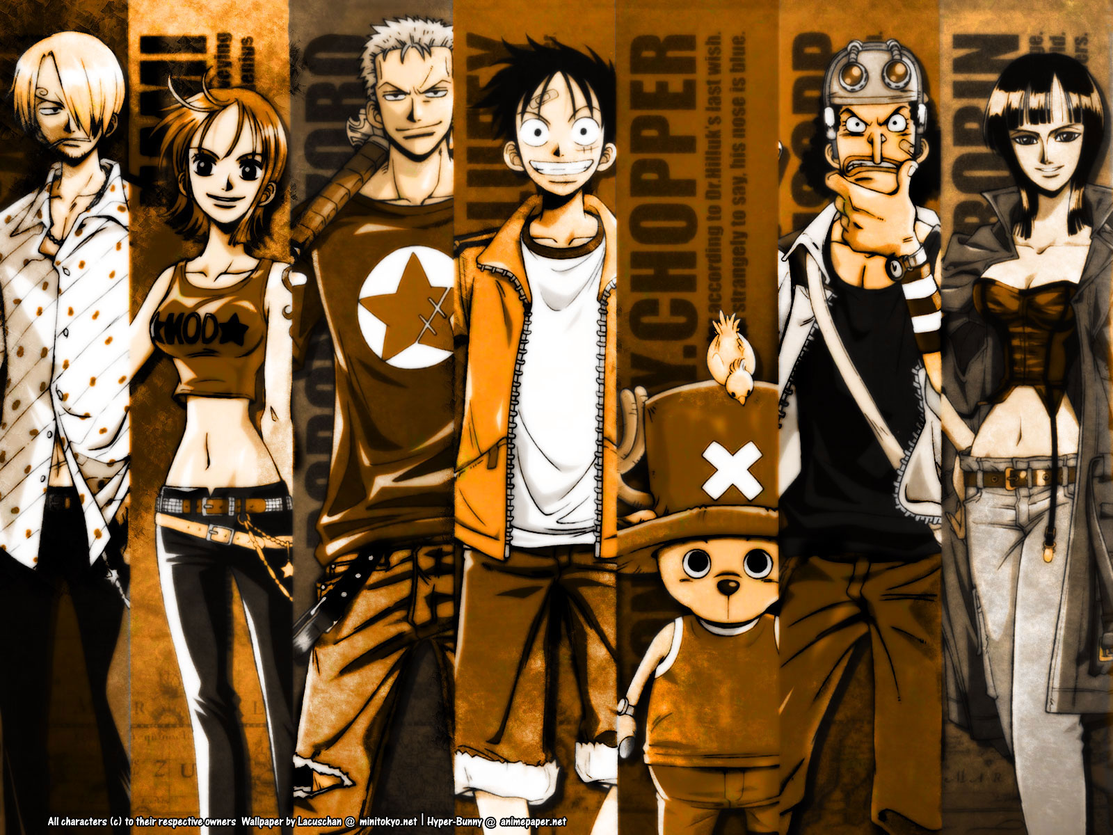 monkey d luffy nami nico robin one