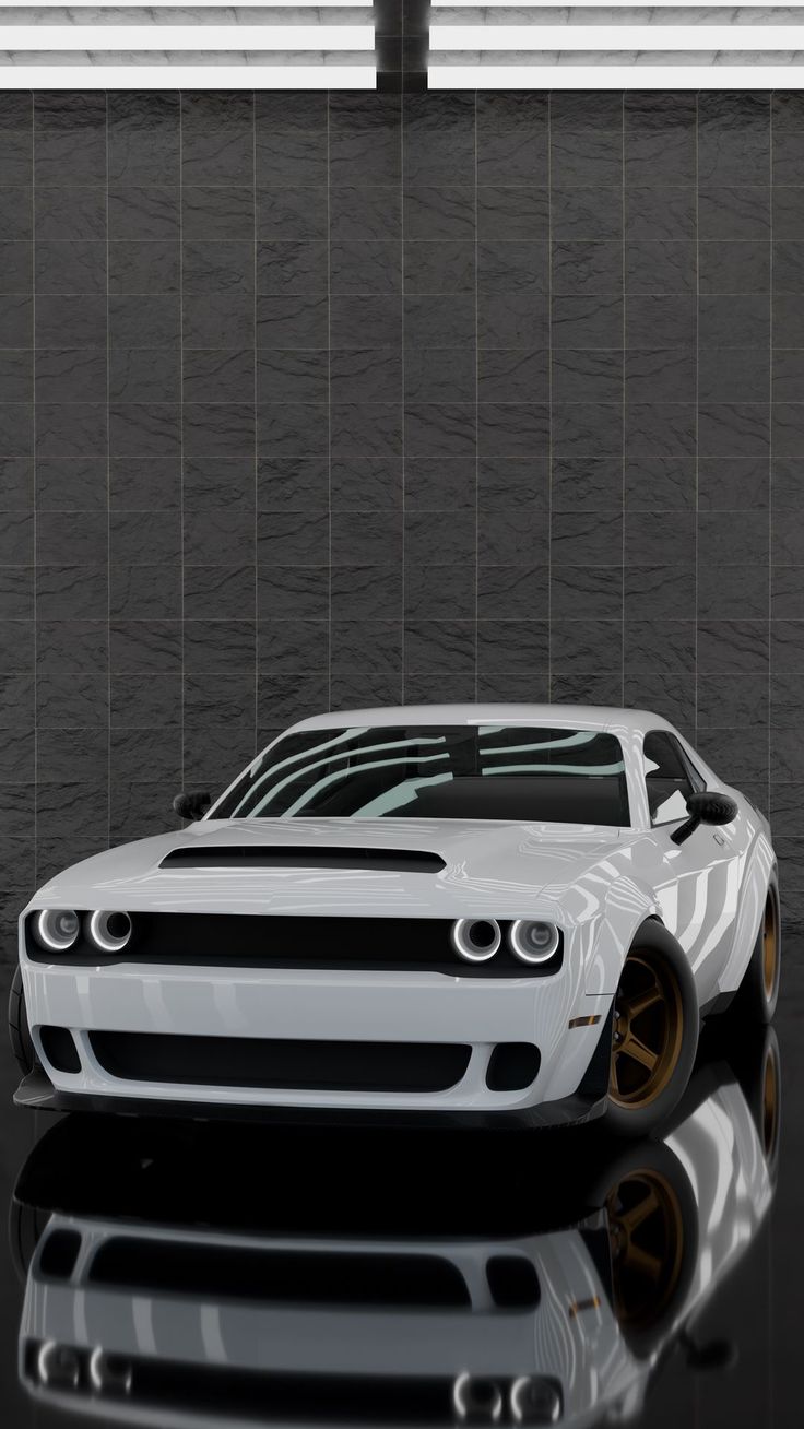 Wallpaper dodge challenger, sports car