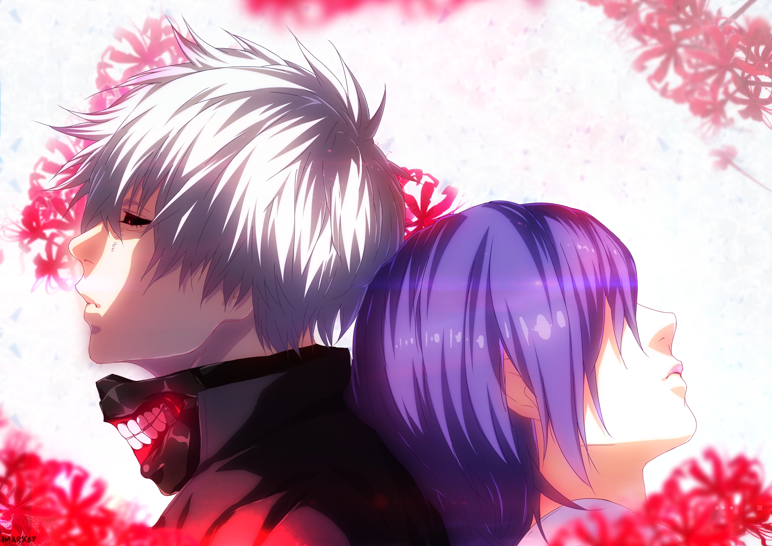 Wallpaper anime, art, two, Tokyo Ghoul