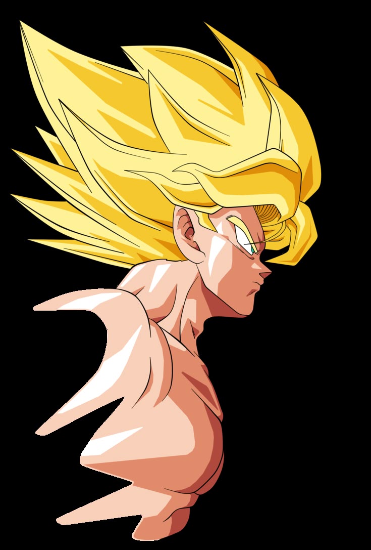 Gokuh & Vegeta doing the fusion dance