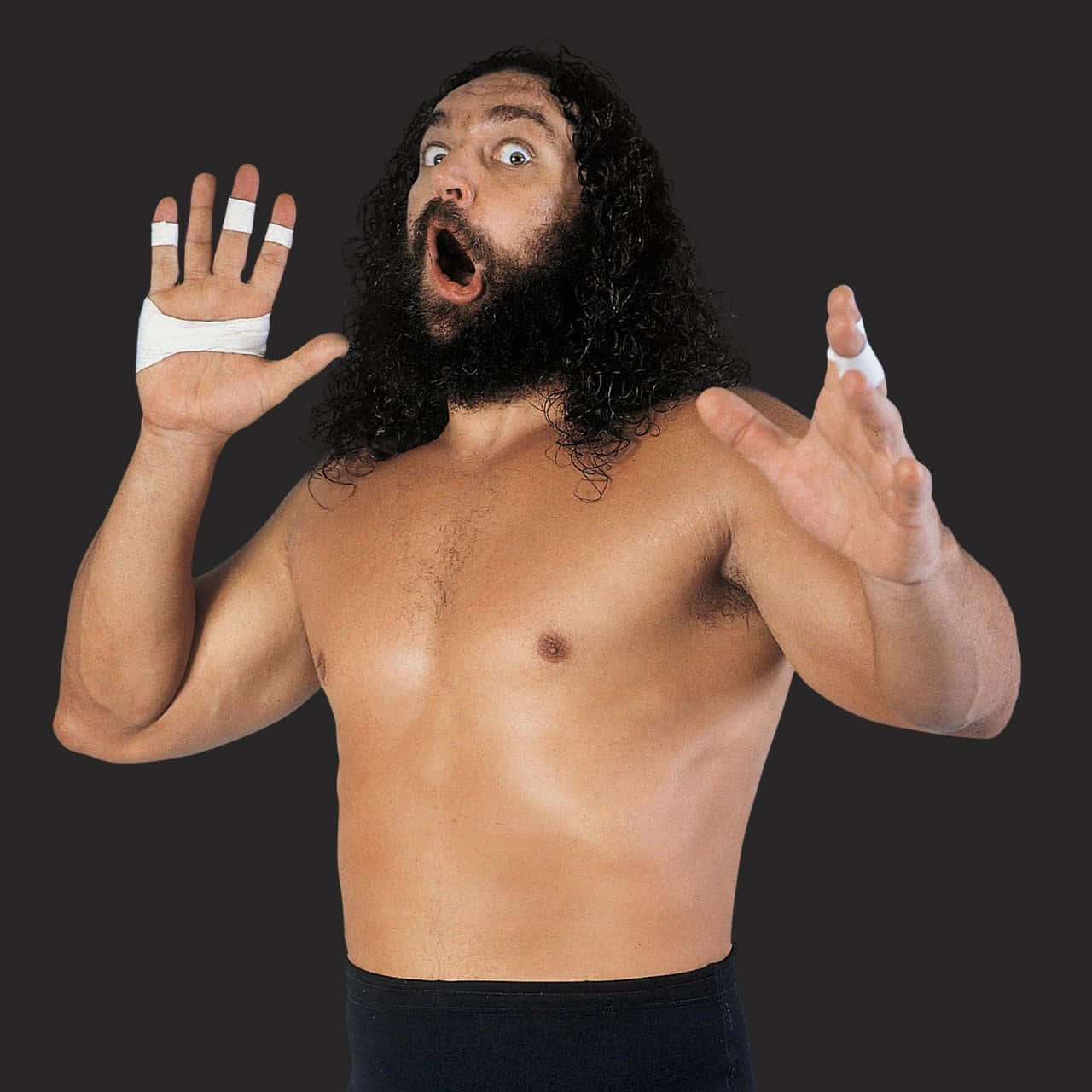 Download WWE Wrestler Bruiser Brody