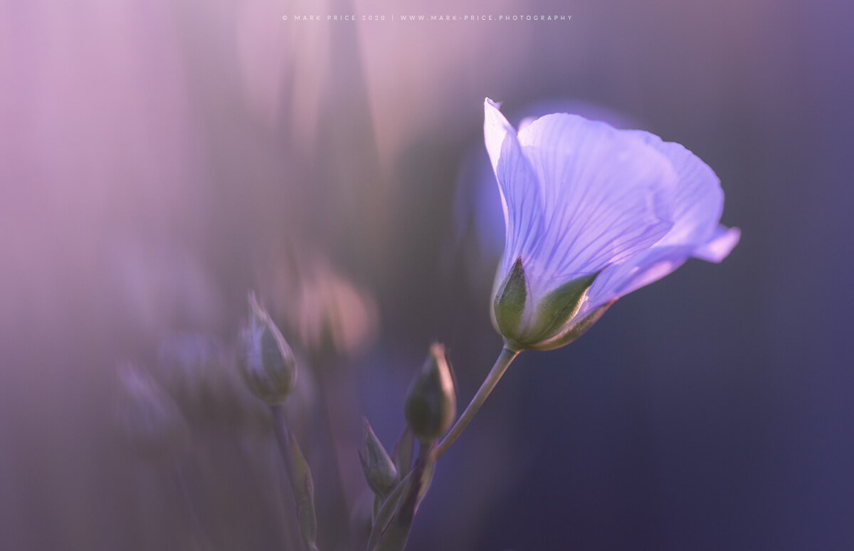 Stunning Spring Photo