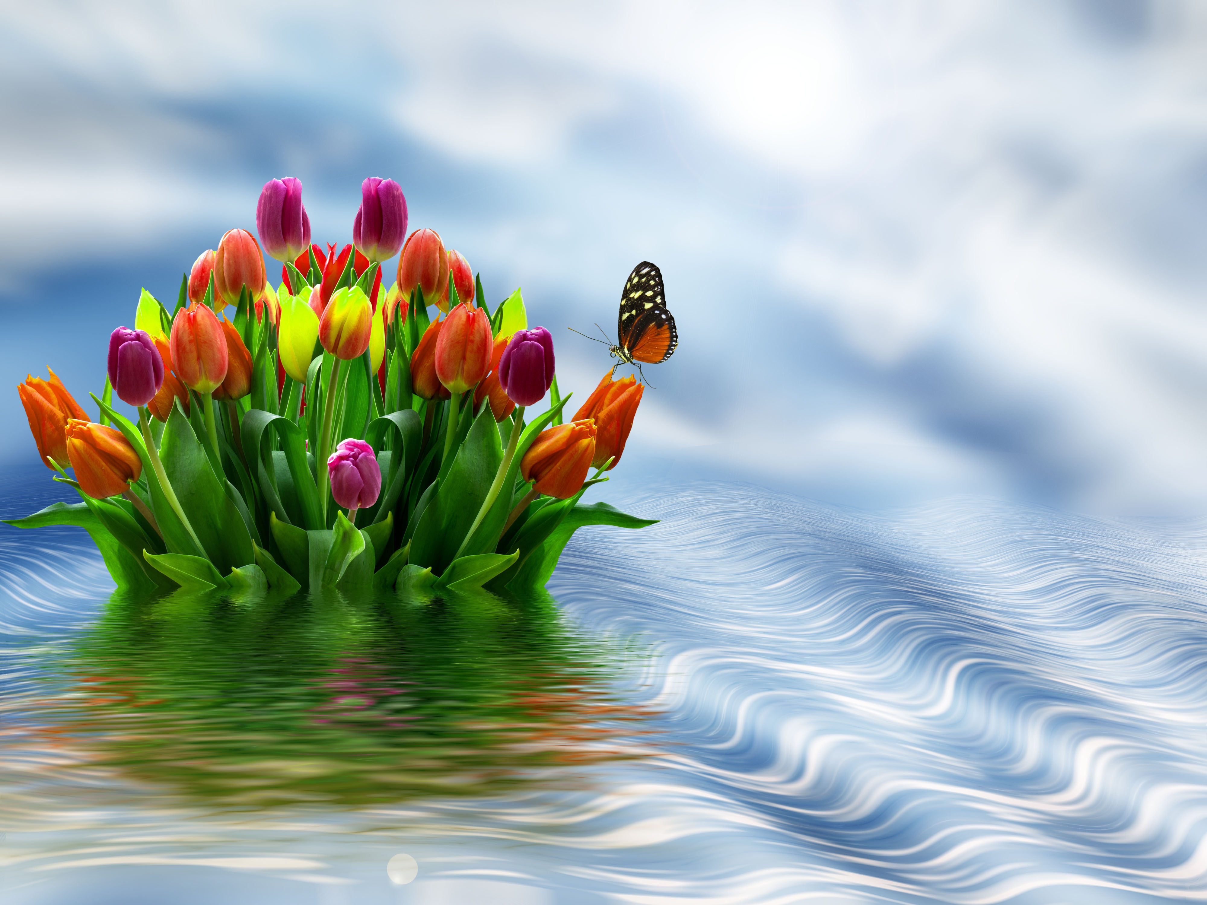 flowers, flower, tulips, water, spring