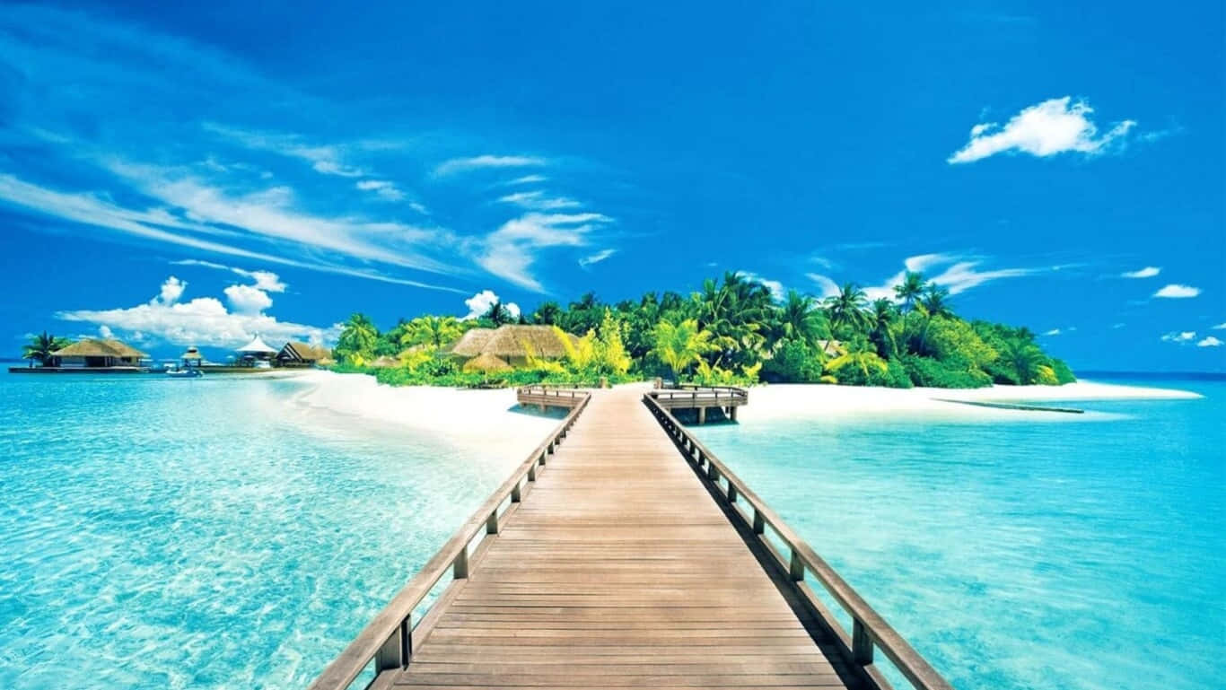 Peaceful Stroll Along The Sandy Beaches