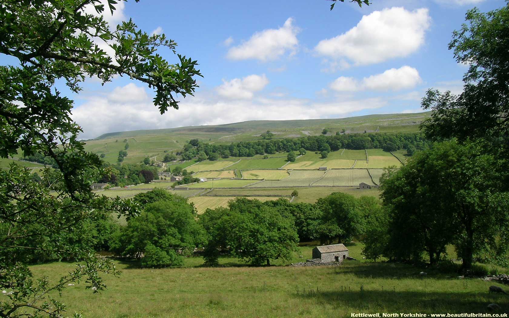 Summer wallpaper desktop