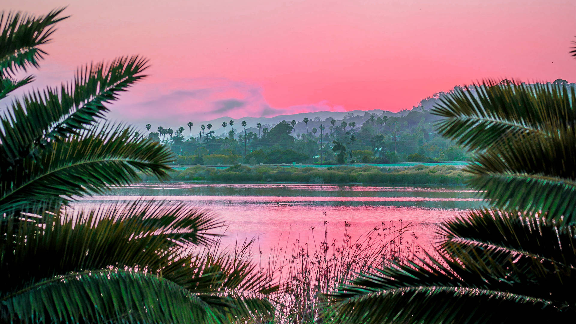 Summer Scenery Pink Aesthetic