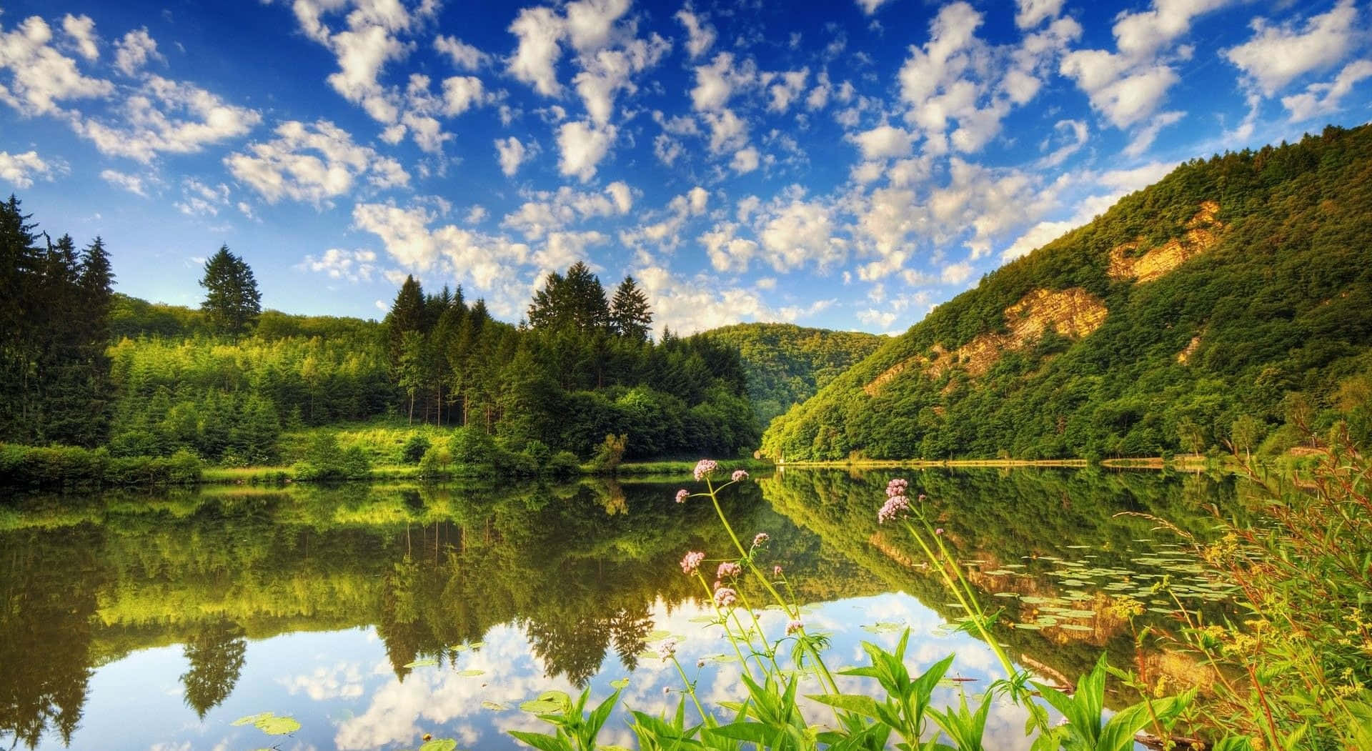 Blue Sky and Green Fields Wallpaper