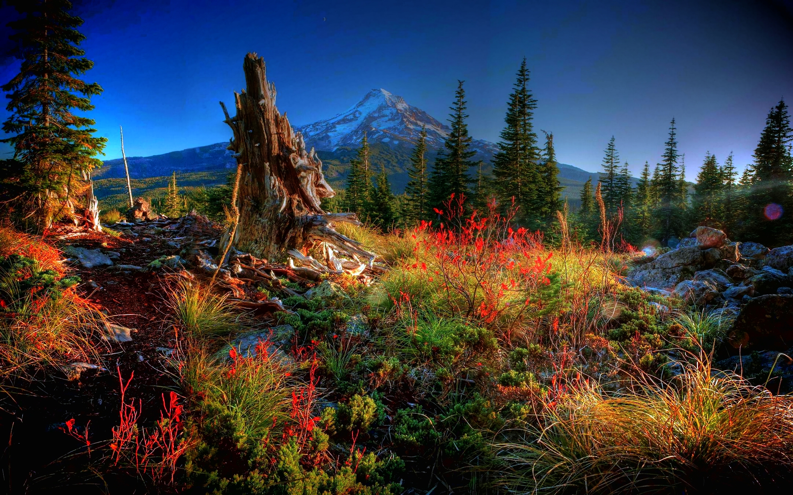 Download Nature Scenic HD Wallpaper