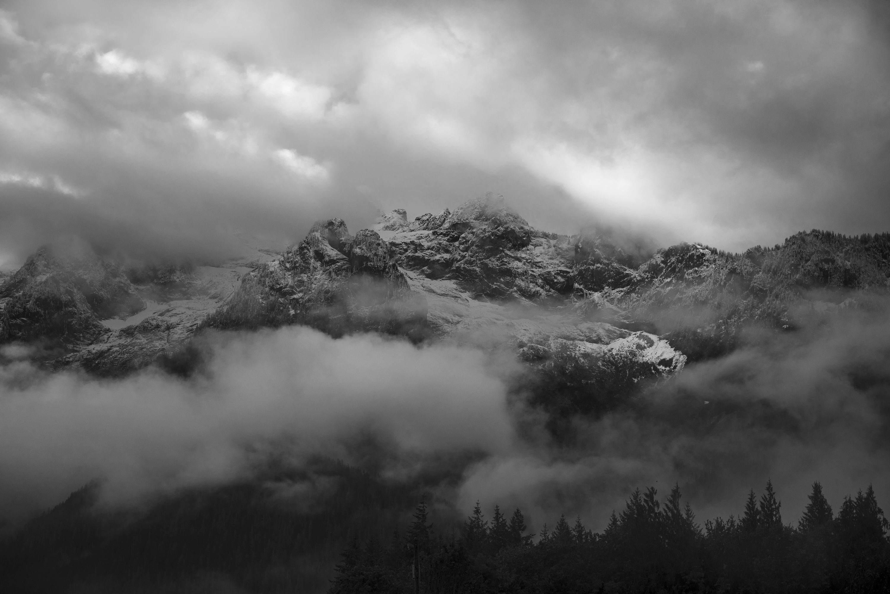 Black And White Nature Picture. Download Free Image