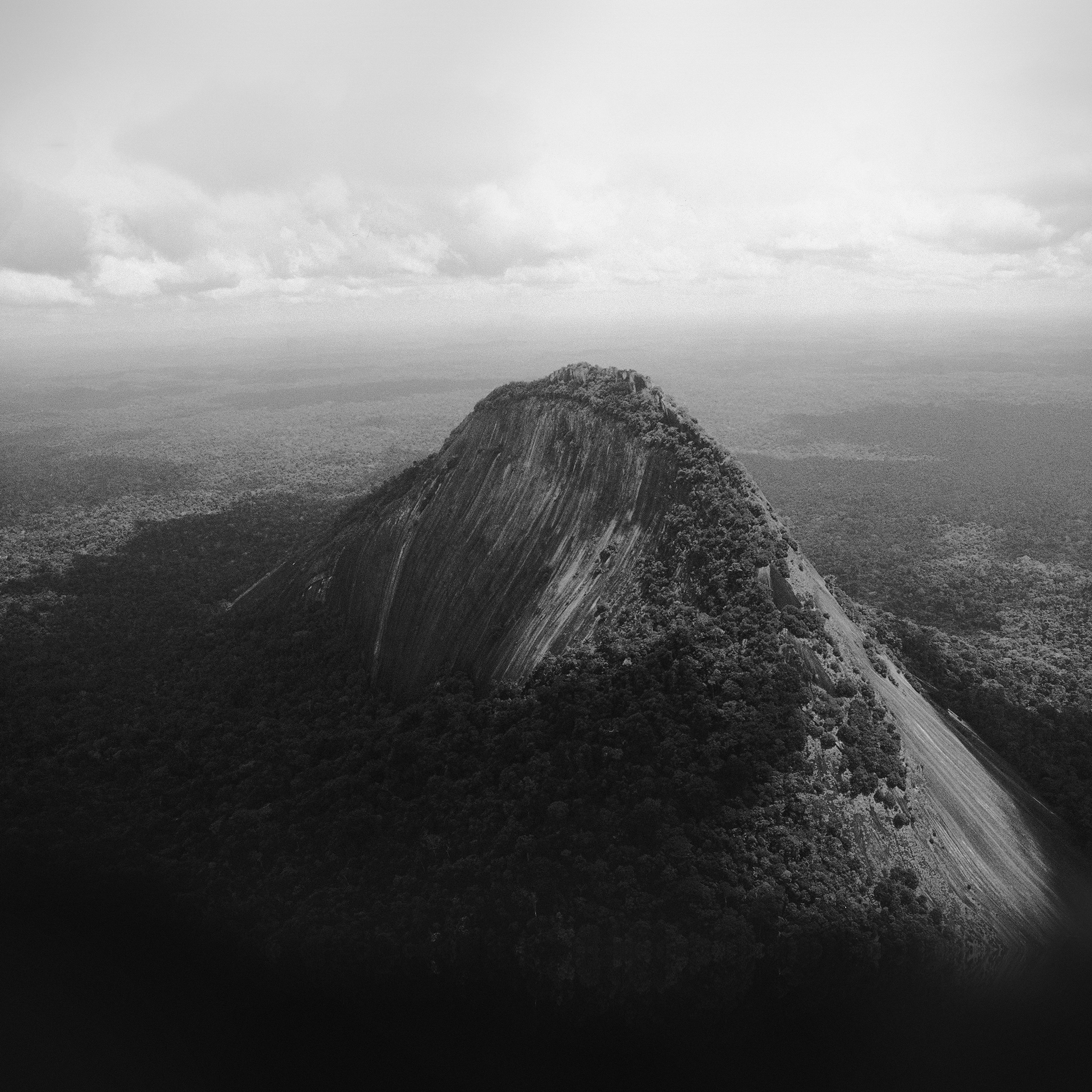 Great Mountain View Whale Dark