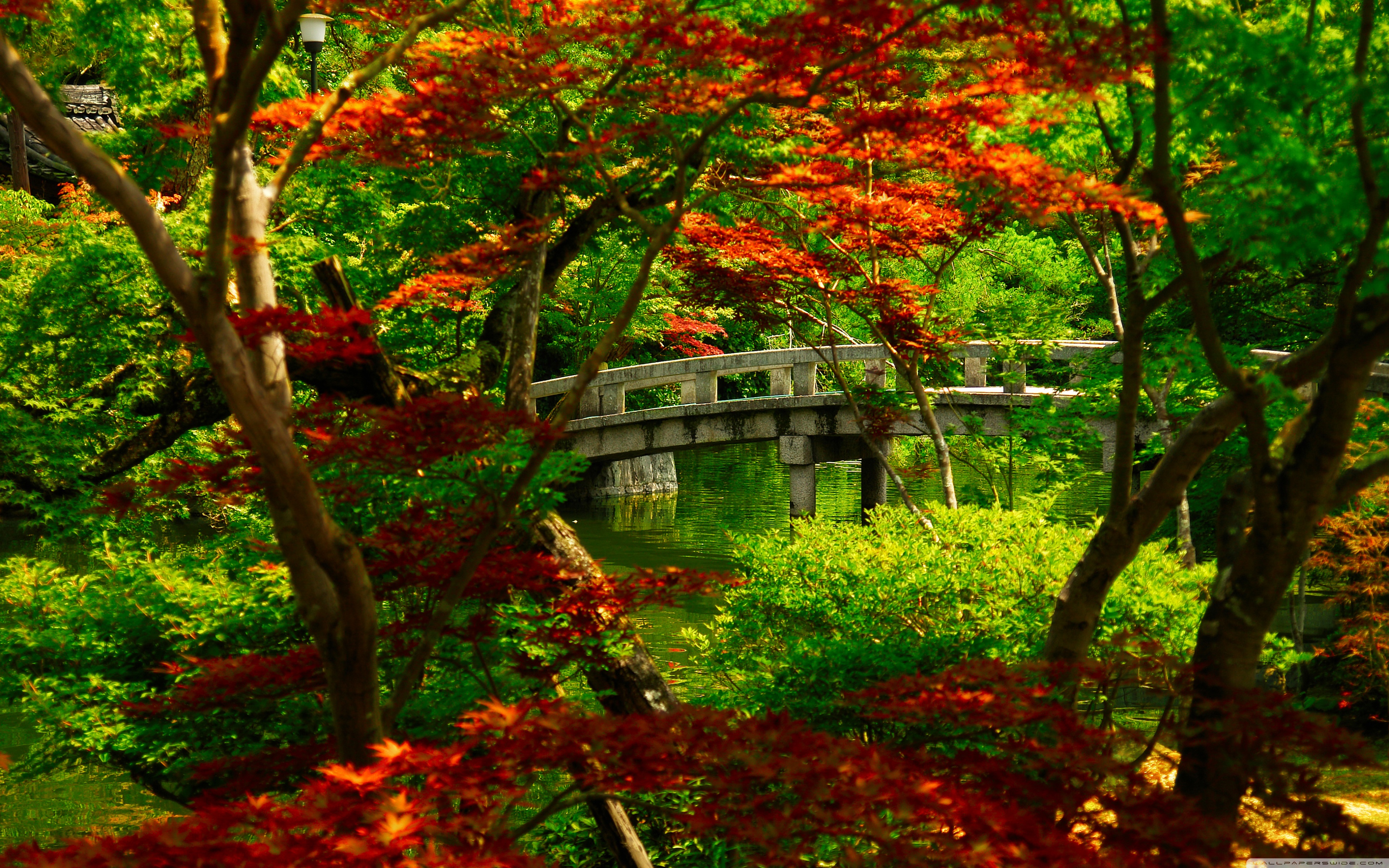 Japanese Garden (Kyoto) 4K UHD