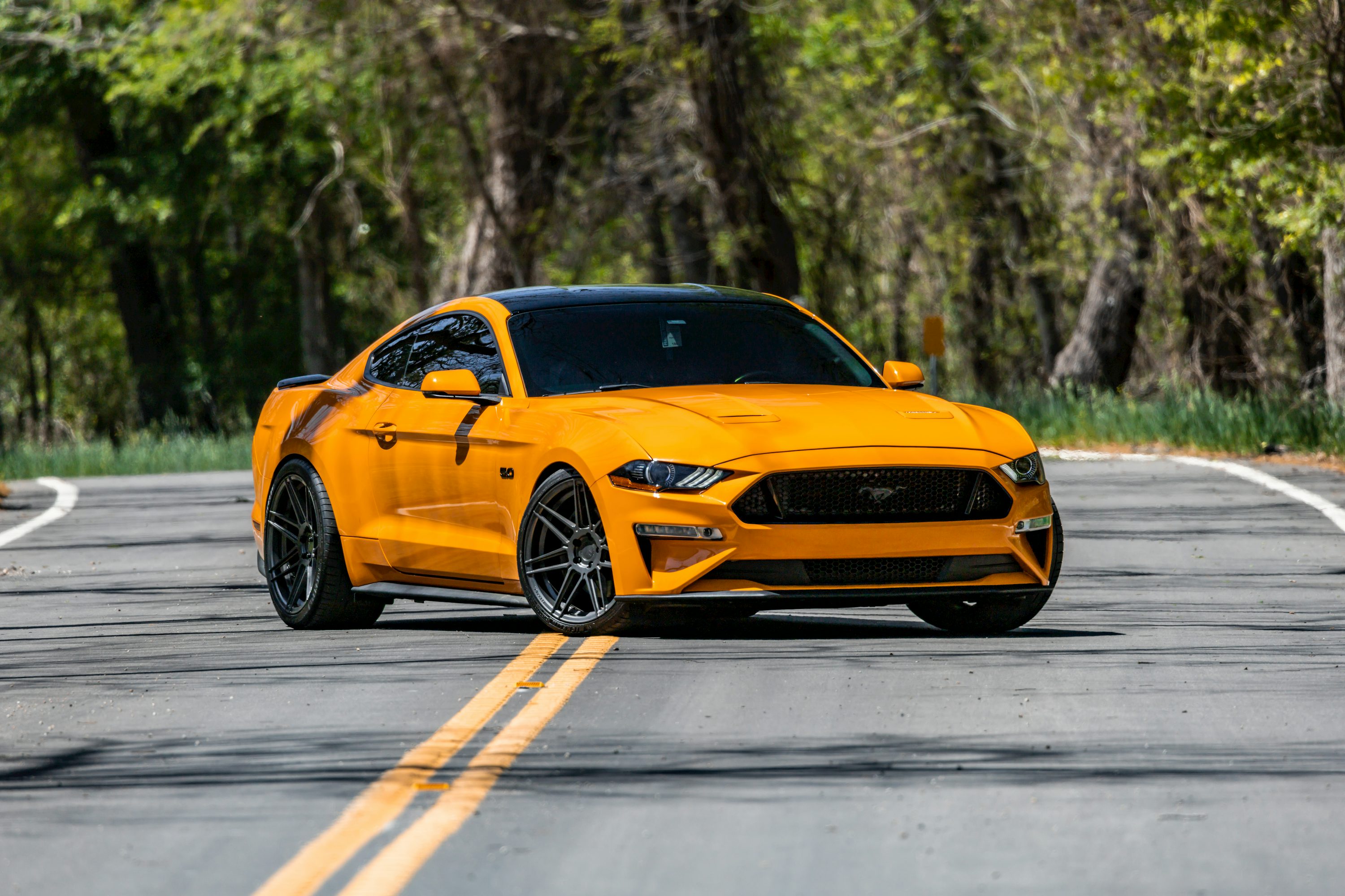 Mustang Wallpaper: Free HD Download