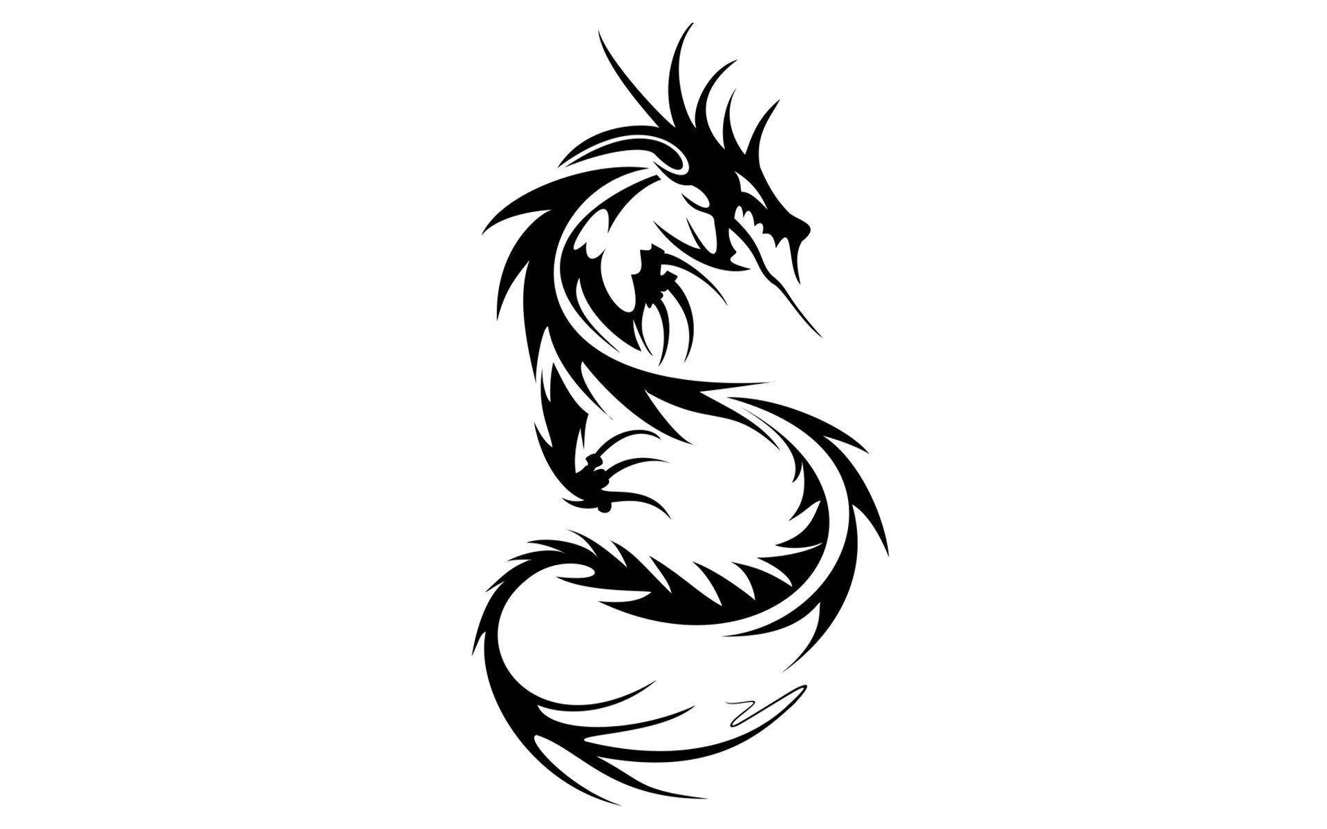 Mesmerizing Black Dragon HD Tattoo