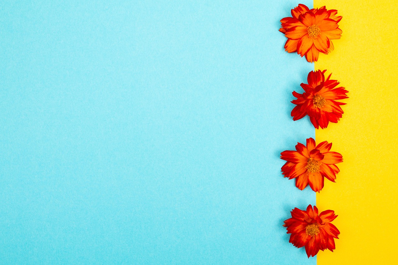 Flowers Minimalist Background