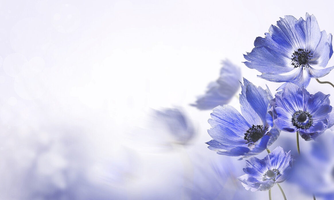 Gloaming Blue Flowers