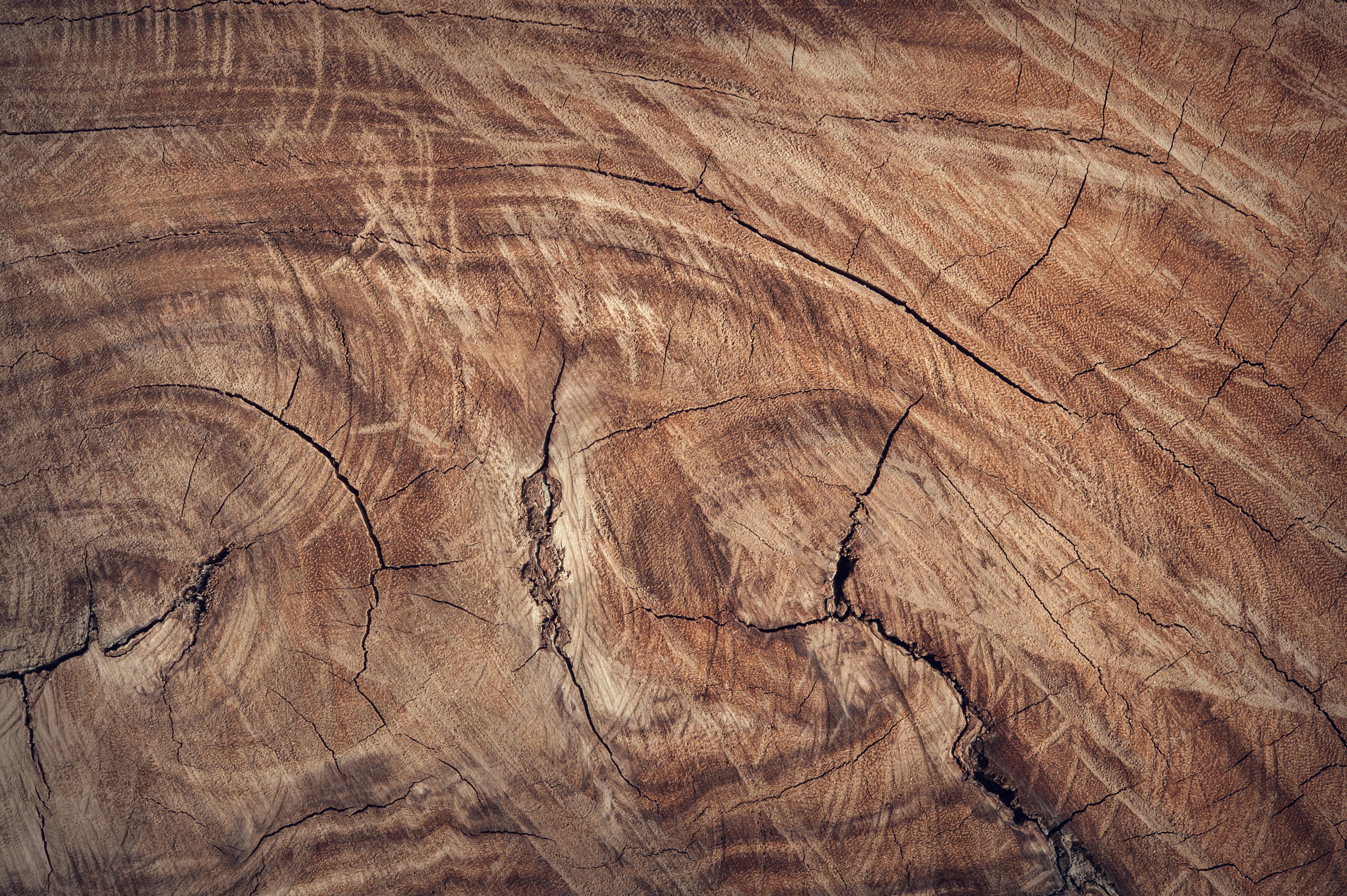 Wood Texture Photo, Download The BEST