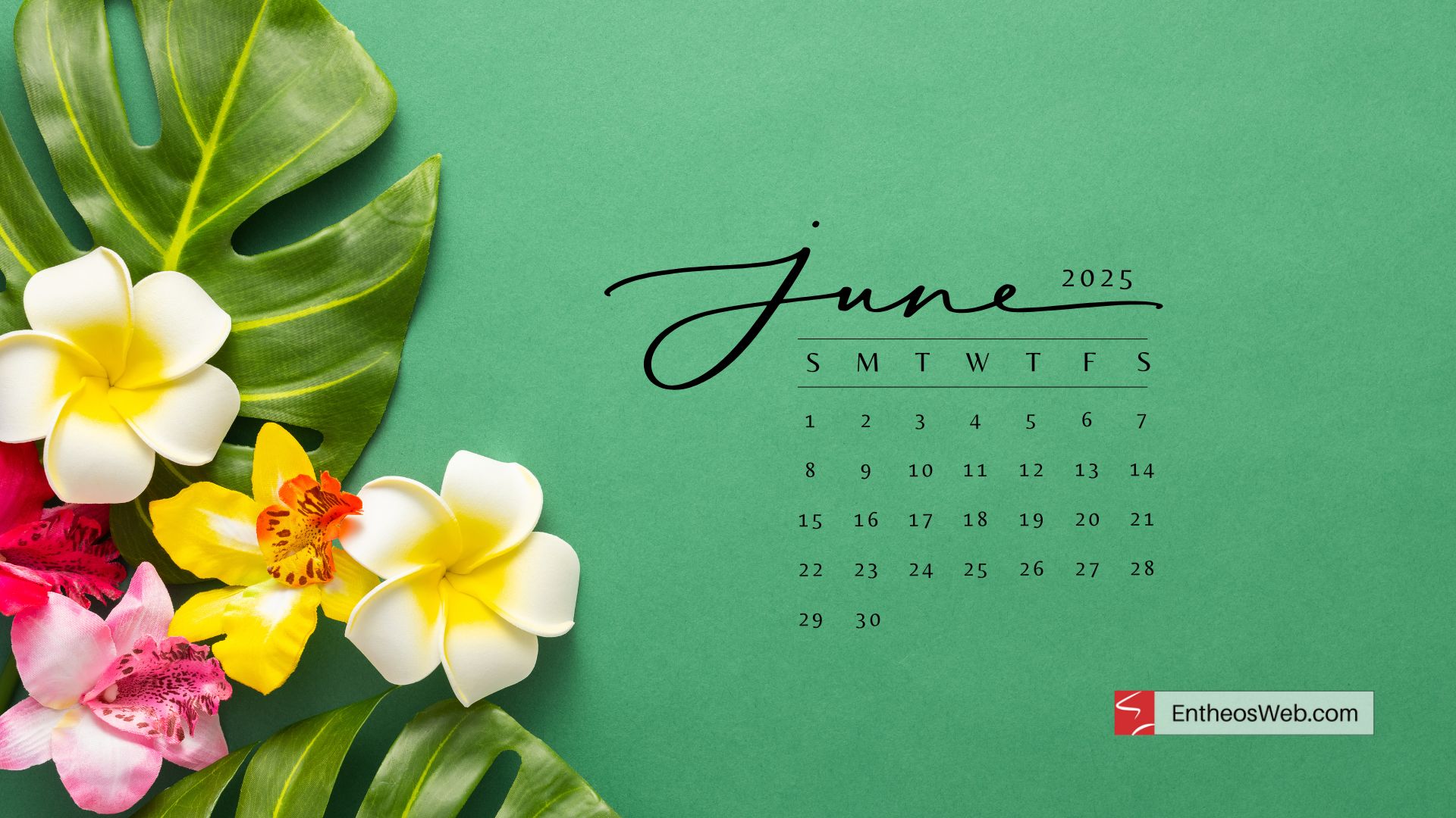 June Calendar Desktop Wallpaper