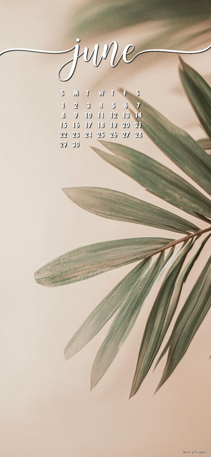 Minimalist June 2025 Calendar Wallpaper
