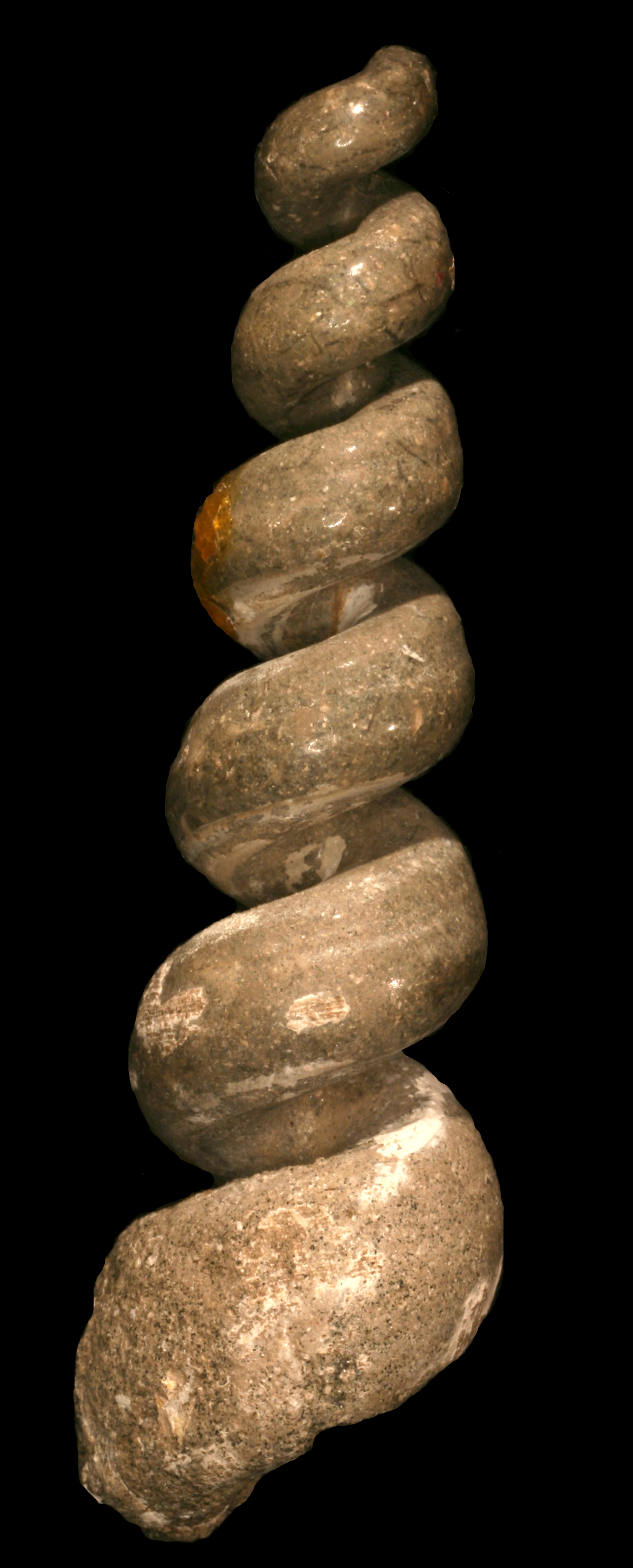 Different kinds of fossils Noble