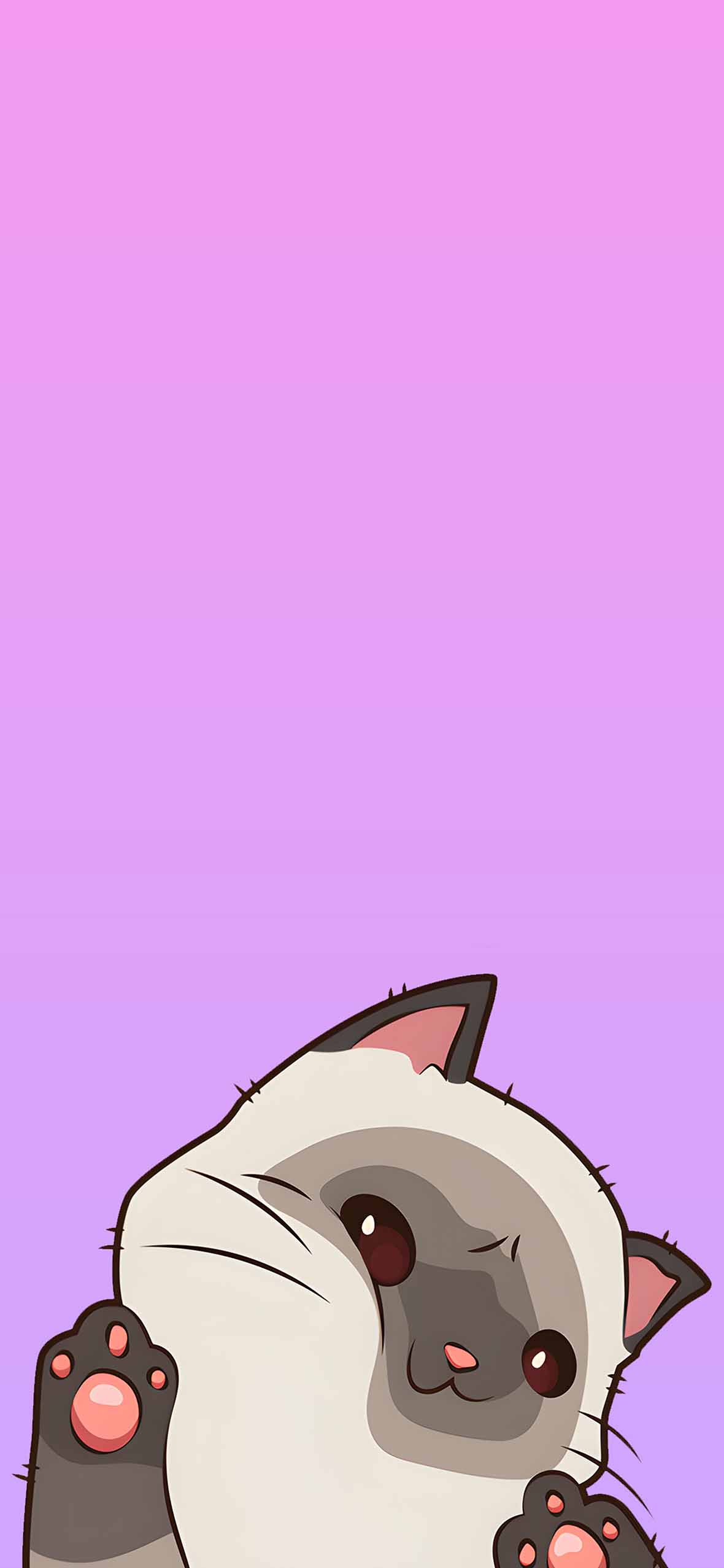 Funny Cute Cat Wallpaper iPhone Wallpaper